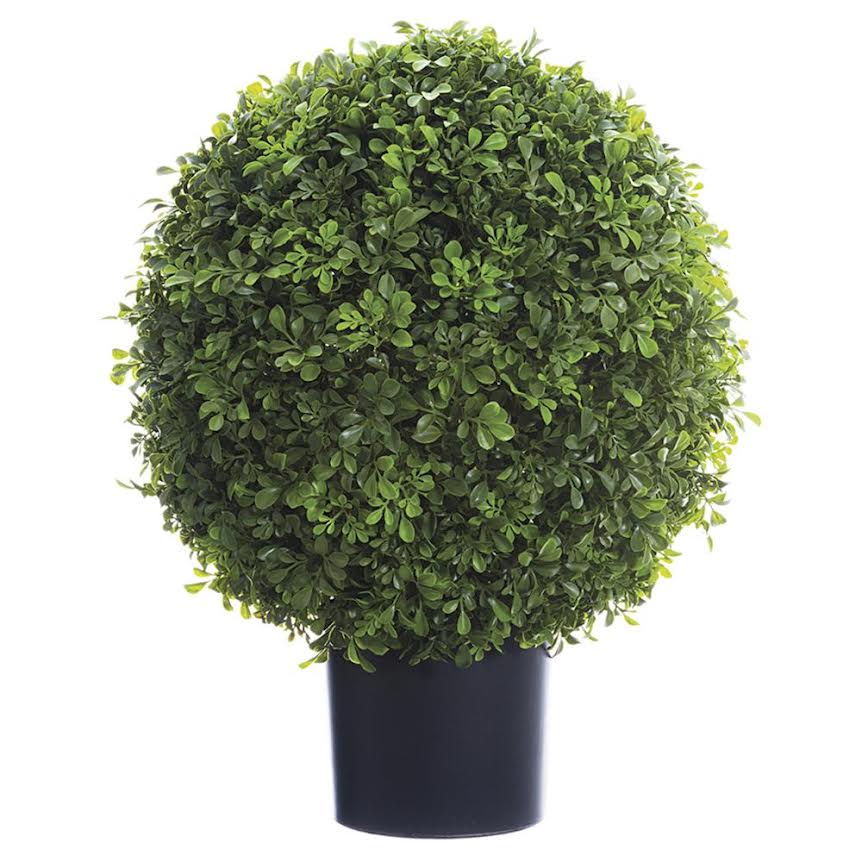 Boxwood Ball (4 Sizes)