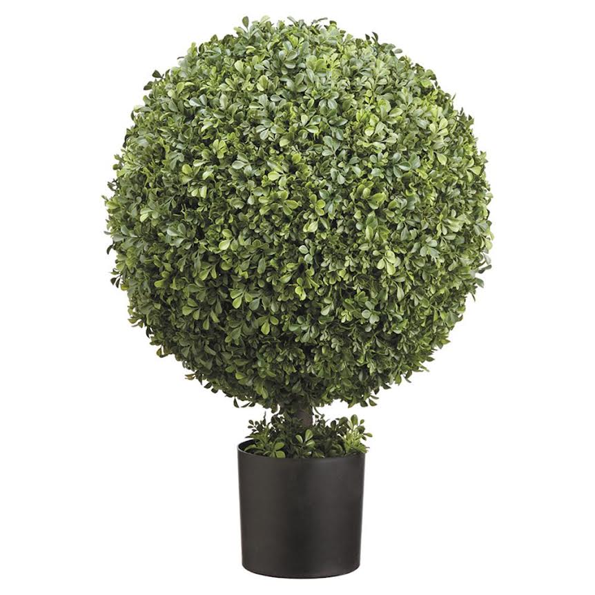 Boxwood Ball (4 Sizes)
