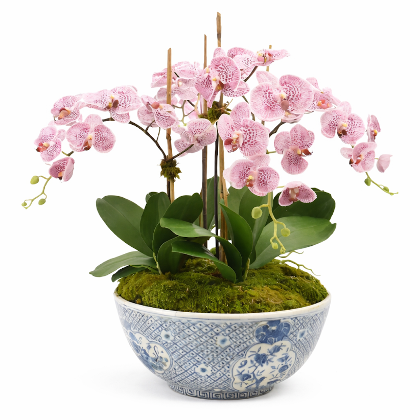 Four Stem Pink/Purple Orchid in Porcelain Size Trellis Bowl