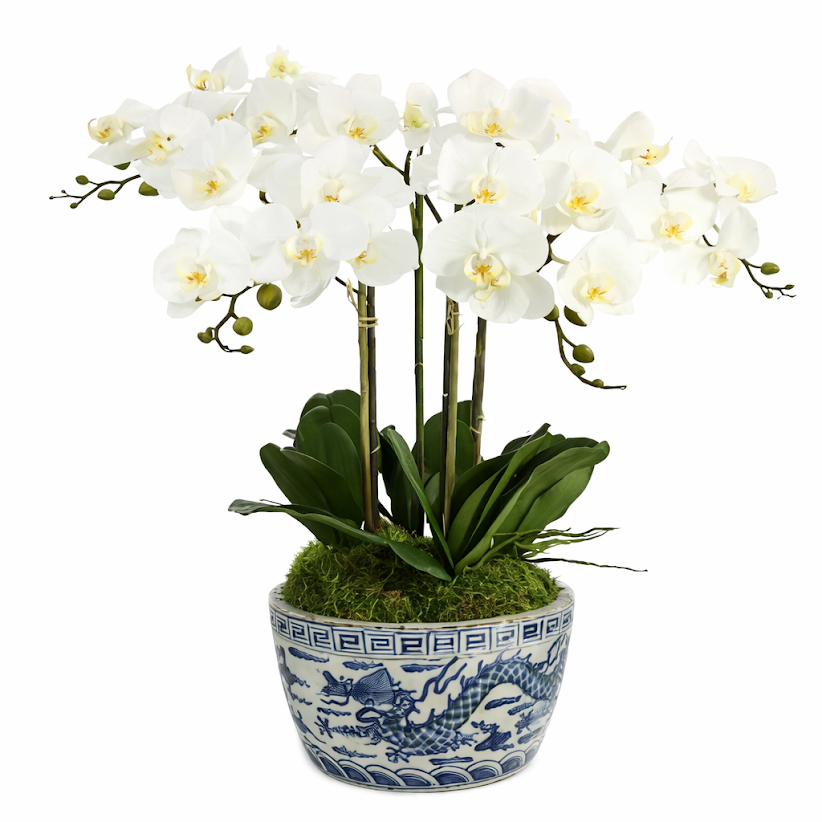4 Stem White Orchid in Porcelain Dragon Bowl