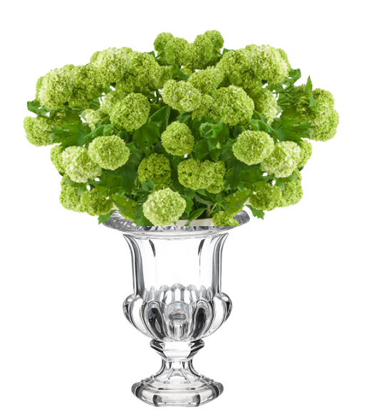 Large Glass Vase