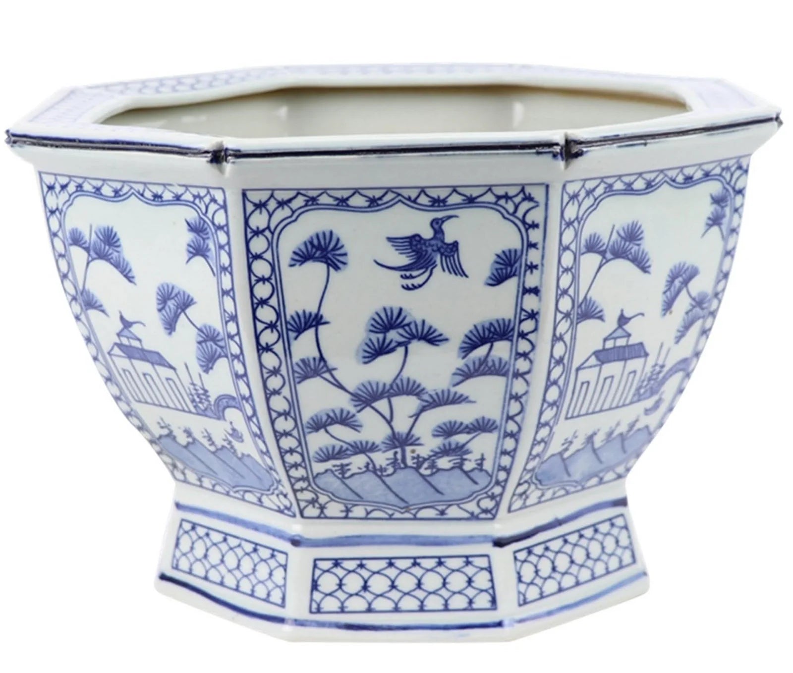 Two Stem Orchid in Mid Size Hexagon Planter