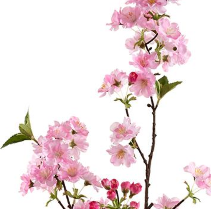 36" Pink Cherry Blossoms Box of 12 Stems