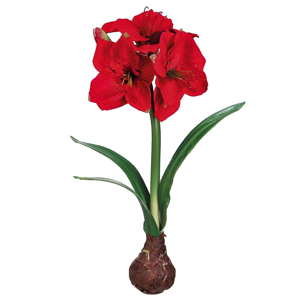 Standing Lifelike Red Amaryllis with Bulb (Pack of Four)