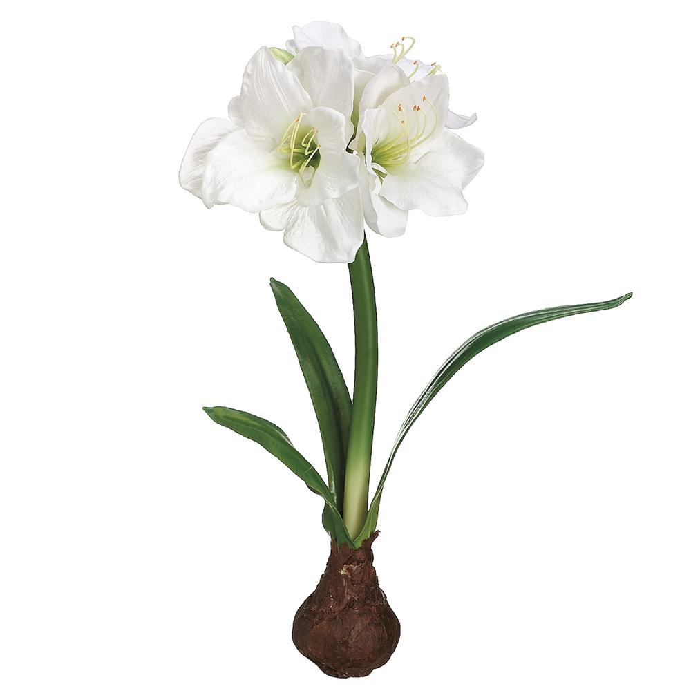 Standing Lifelike White Amaryllis with Bulb (Pack of Four)