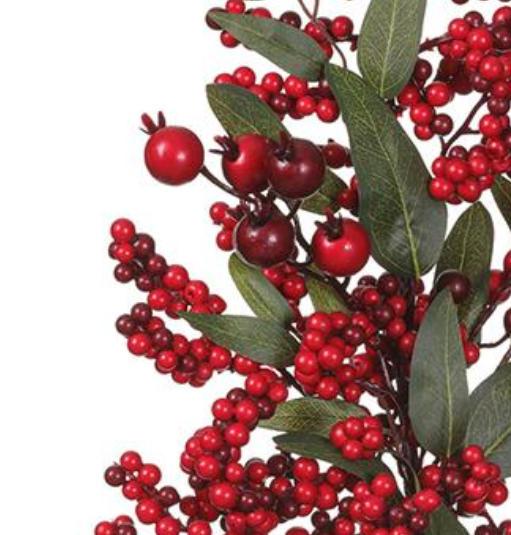 Rosehip Red Berry Stems
