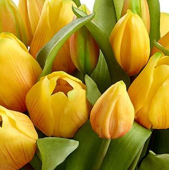 Lifelike Yellow Tulip Bouquet