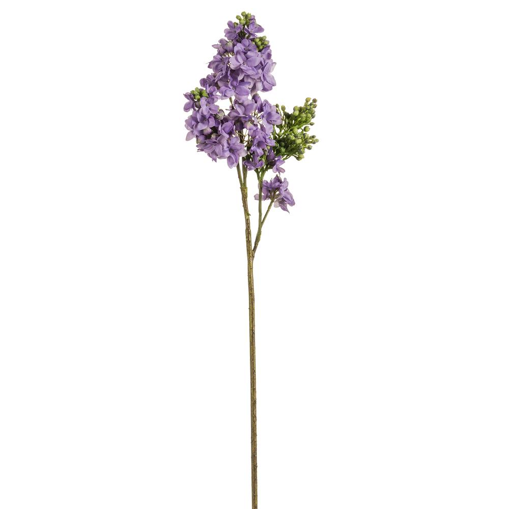 26" Lilac Stems (Box of 12 Stems)