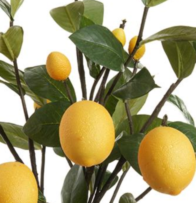 Pair of lemon stems in blue & white vase