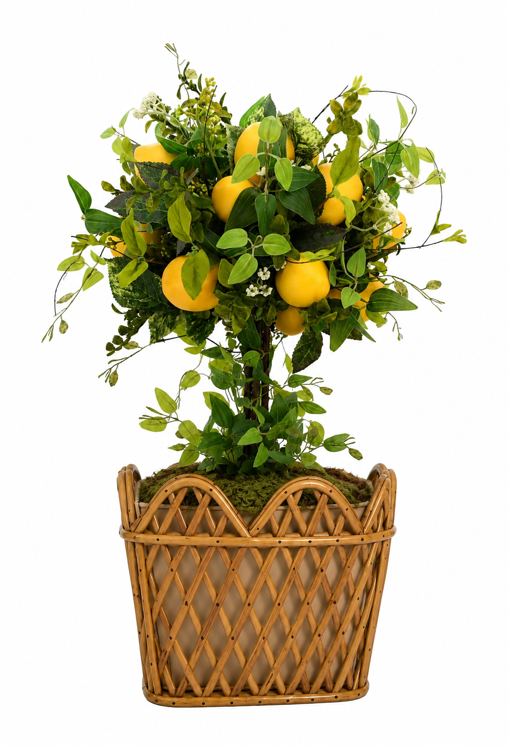 Lemon Topiary in Rattan Square Planter