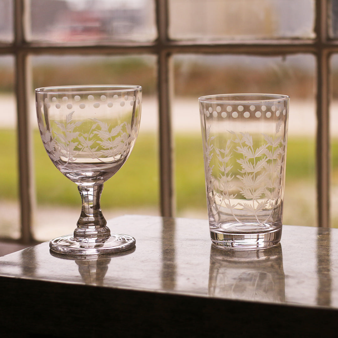 GLASS Fern with Dots All Purpose Set of 4 (Clear) 14 fl oz