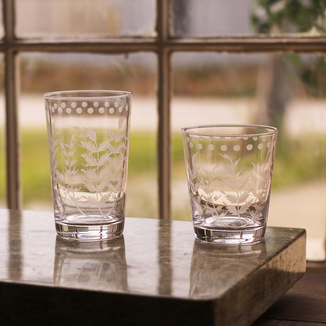 GLASS Fern with Dots Tumbler Set of 4 (Clear) 16 fl oz