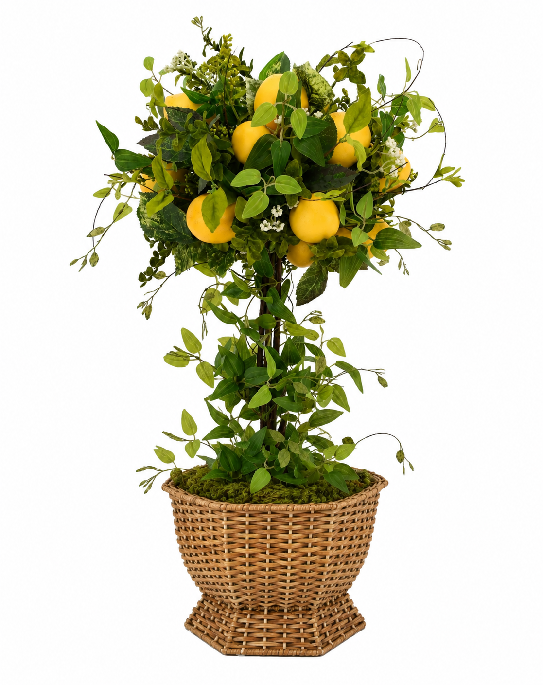 Lemon Topiary in Wicker Hexagon Planter
