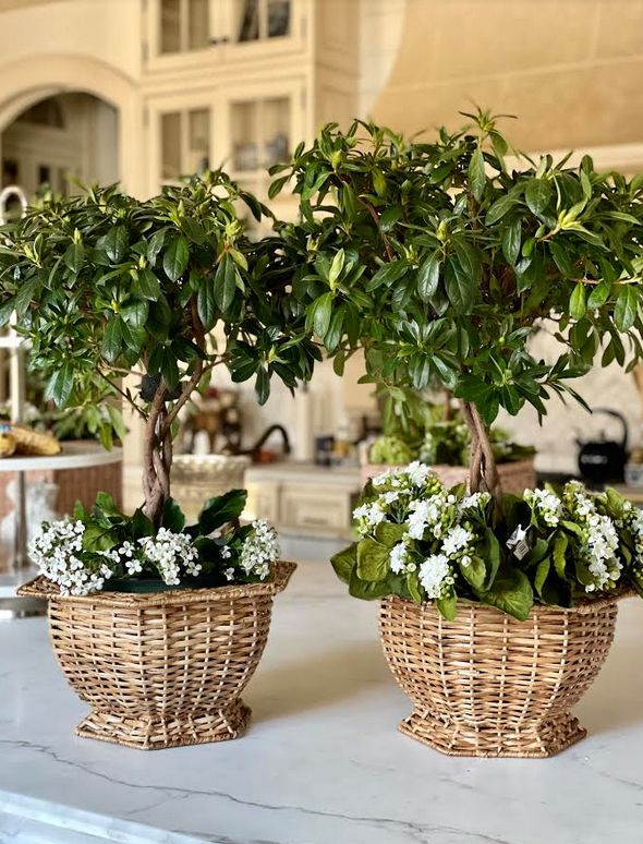 HEXAGON WICKER PLANTER (3 Sizes)