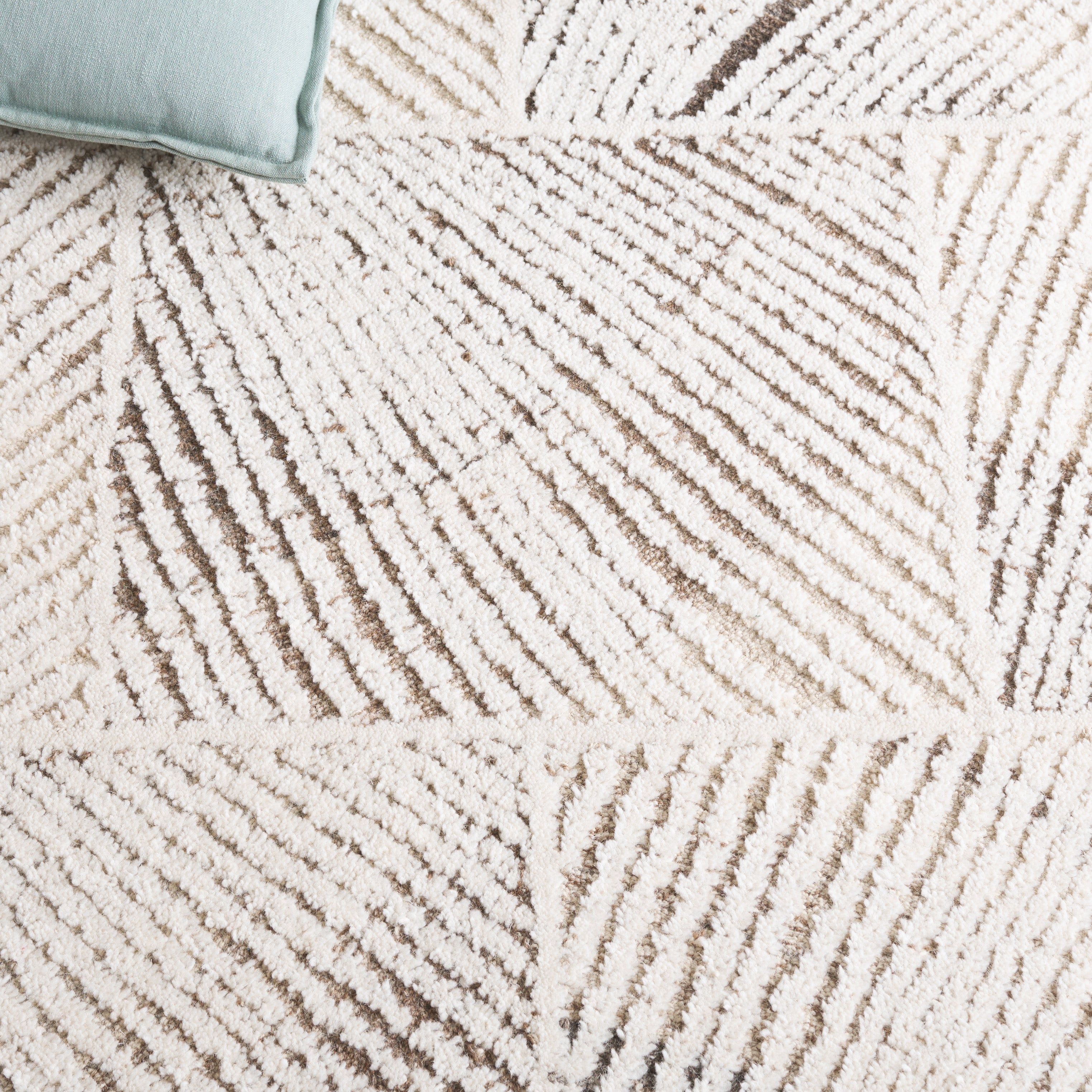 Ivory / Brown