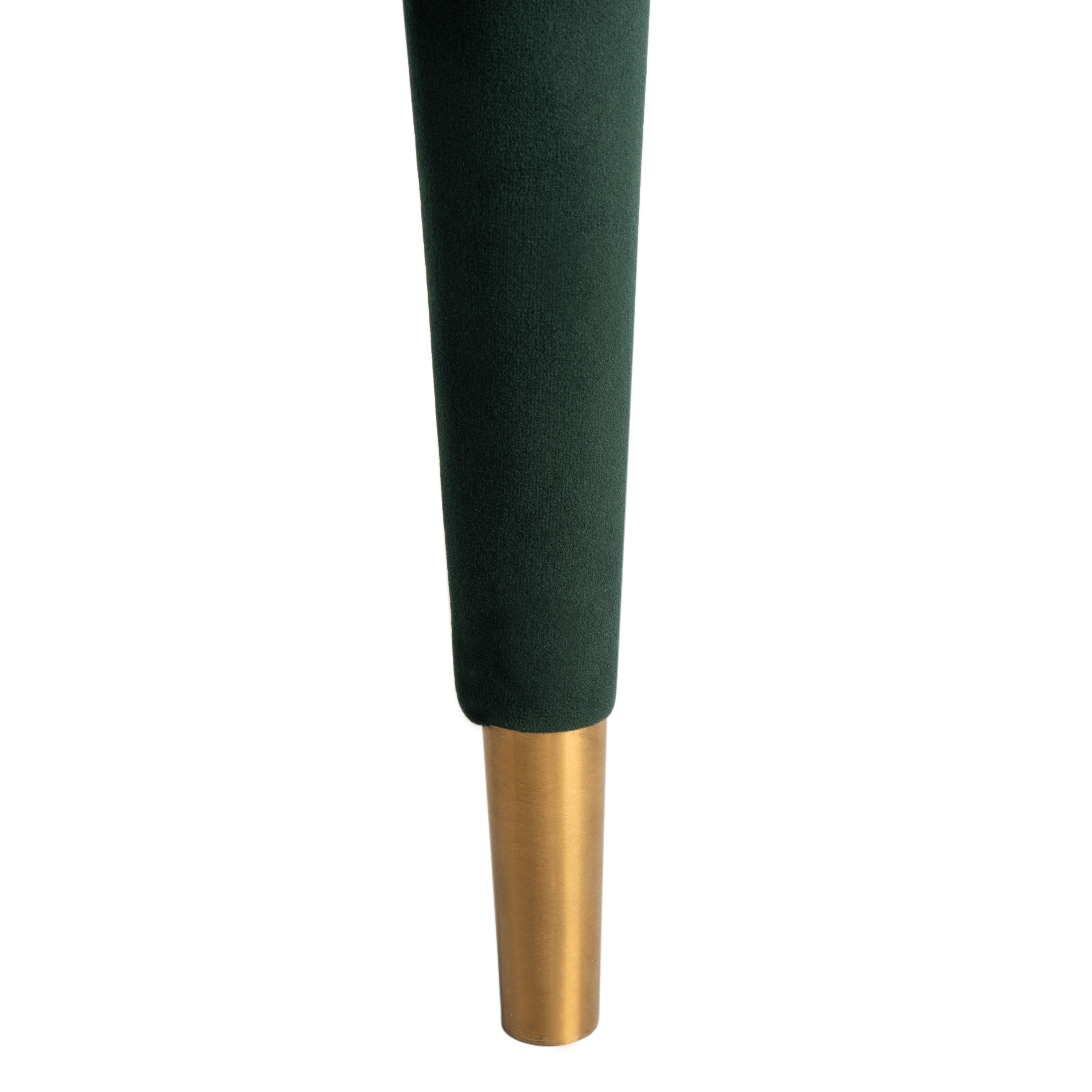 Forest Green / Gold