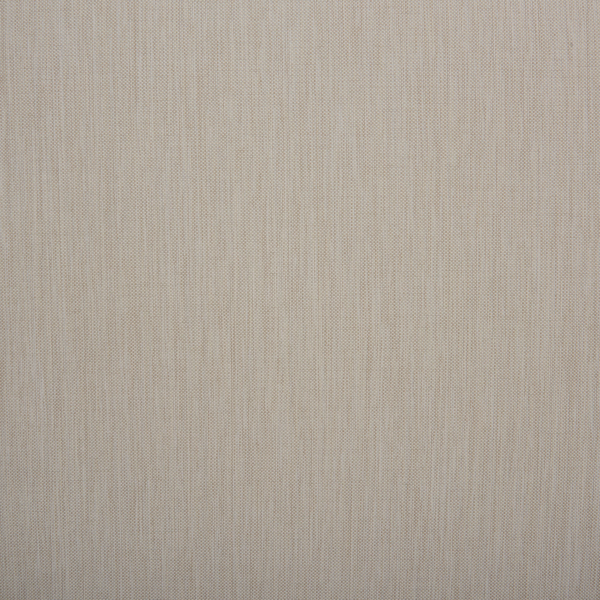 BROWN / WHITE