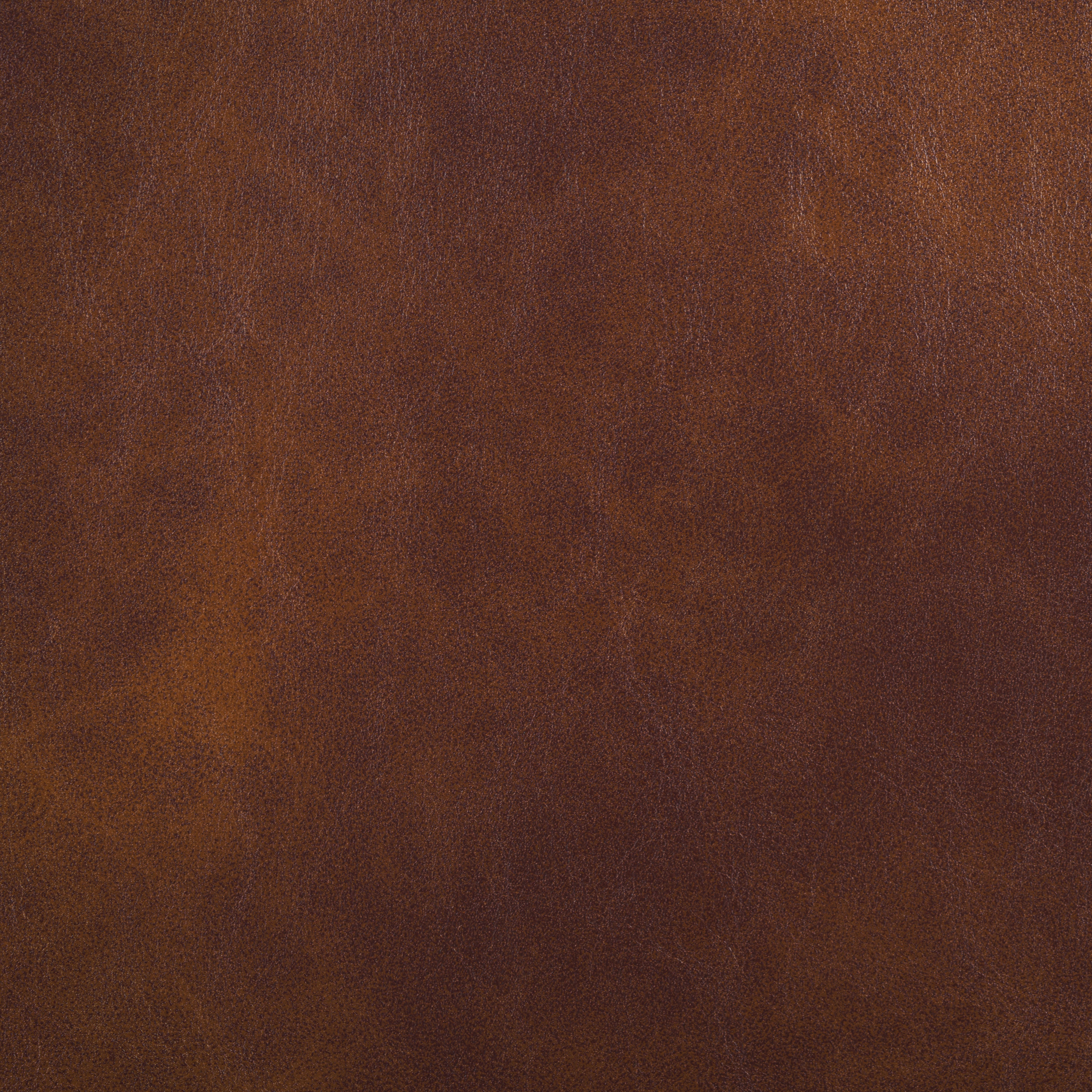 BROWN / BLACK