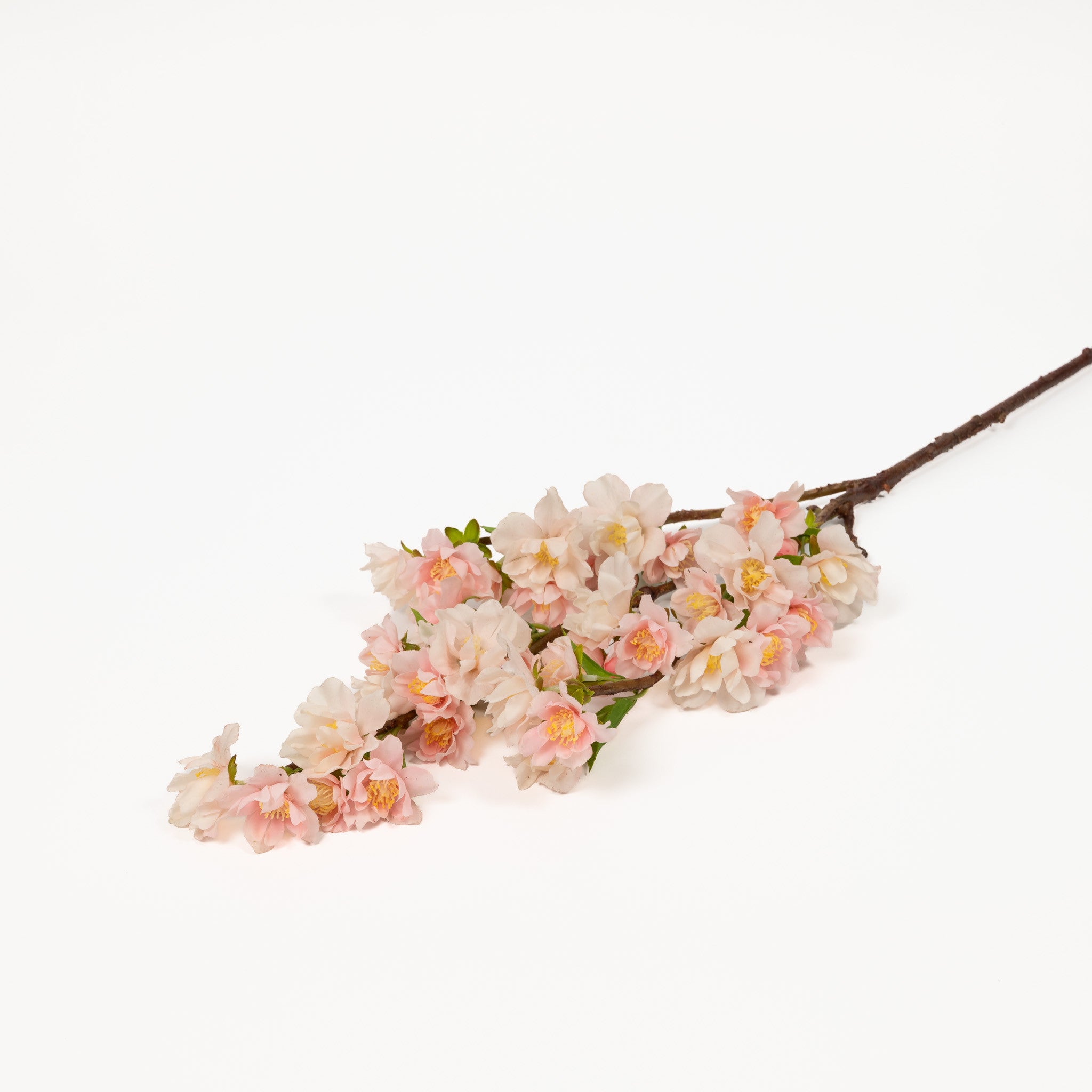 Box of 12 Pink CHERRY BLOSSOM BRANCH