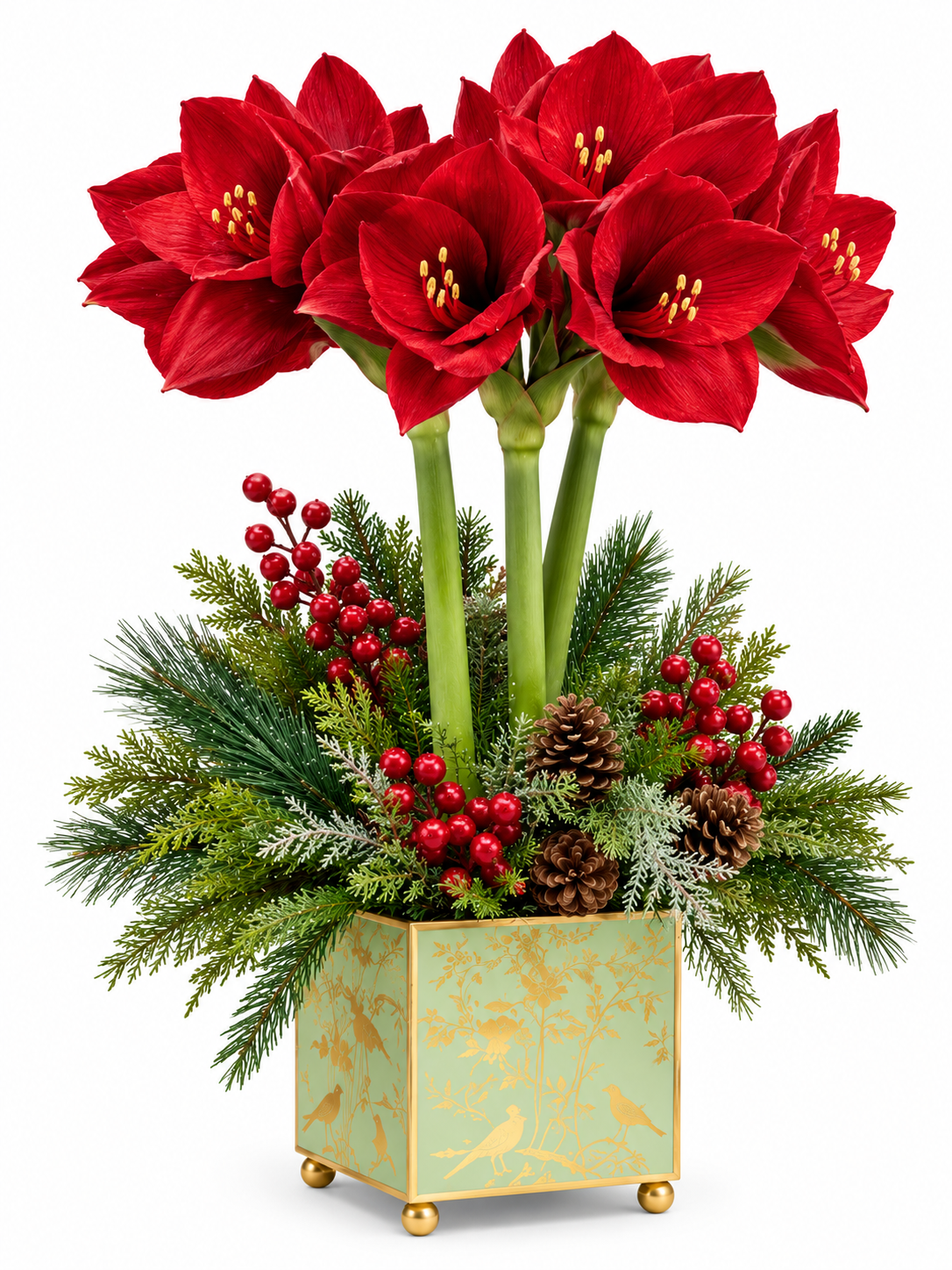 Red Amaryllis & Winter Greens in Chinoiserie Planter