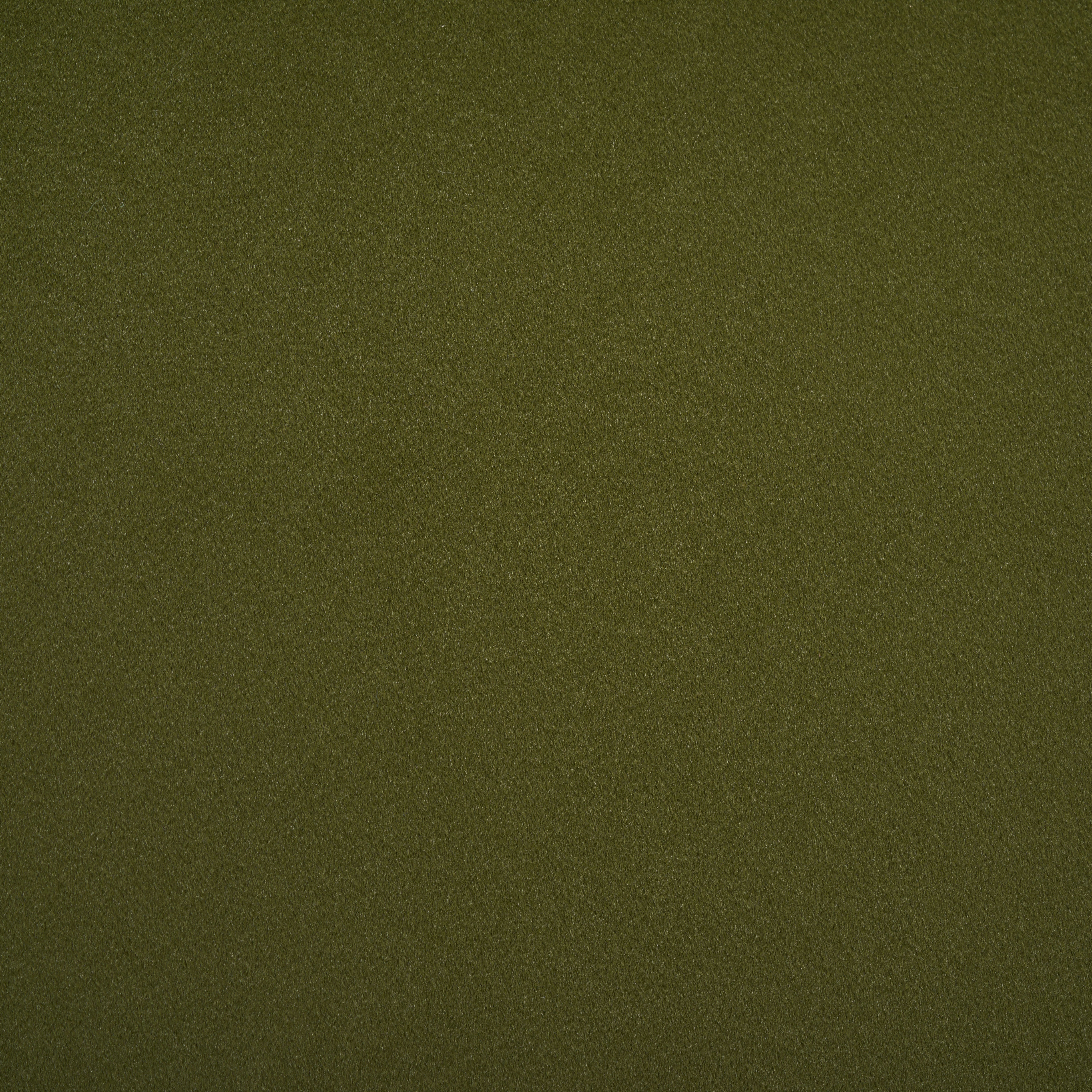 Olive / Brushed Gold - Olive / Brushed Gold