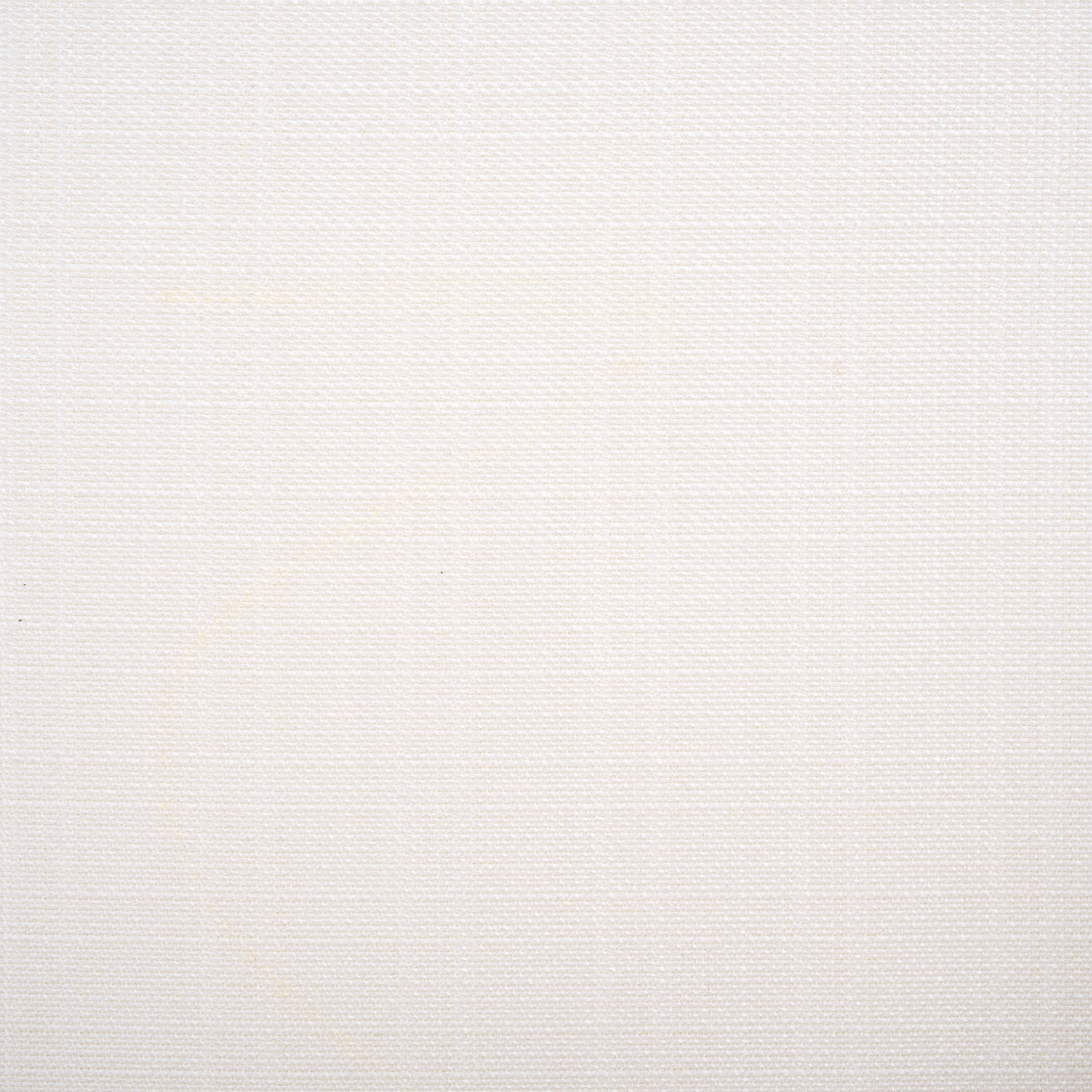 White / White - White / White