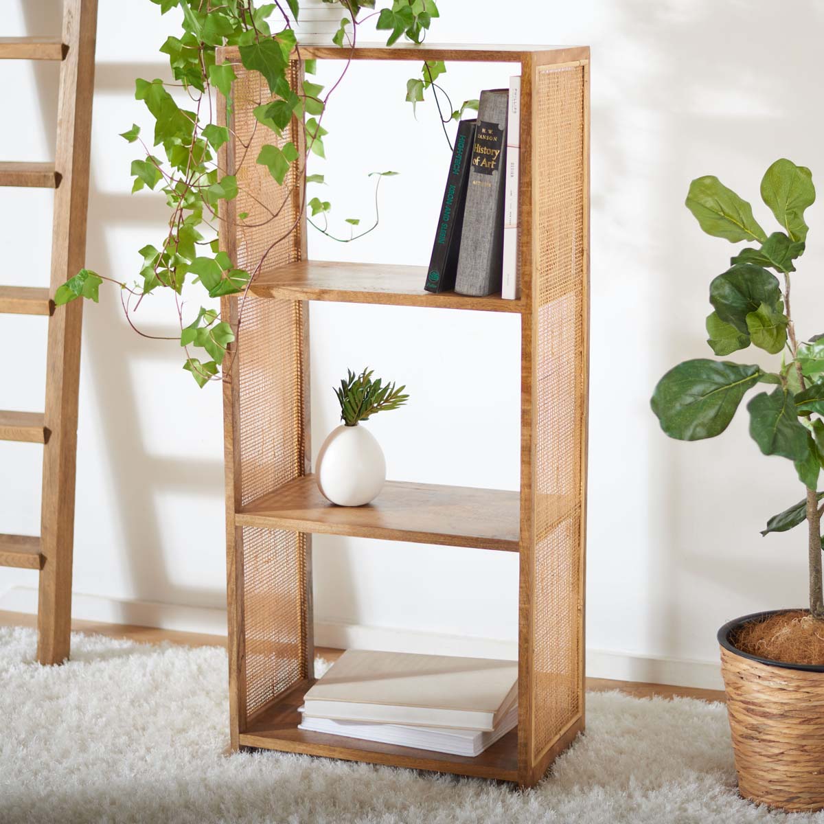 Phoenix 3 Shelf Etagere | Safavieh - Natural