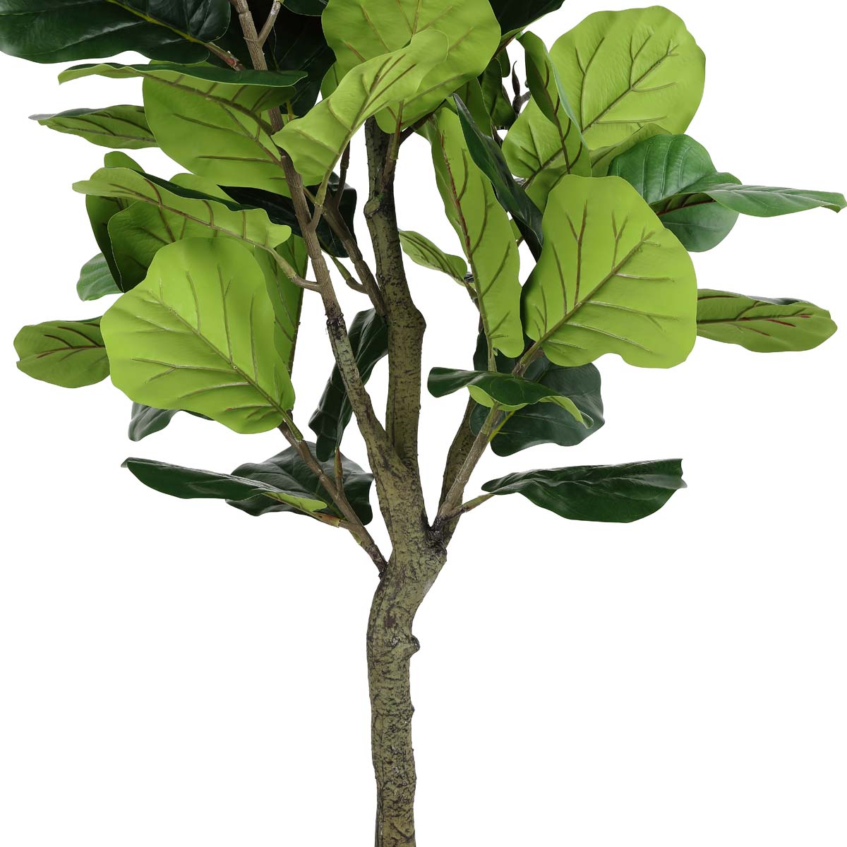 Safavieh Faux Fiddle Leaf Fig 50 Potted Tree , FXP2002 - Green
