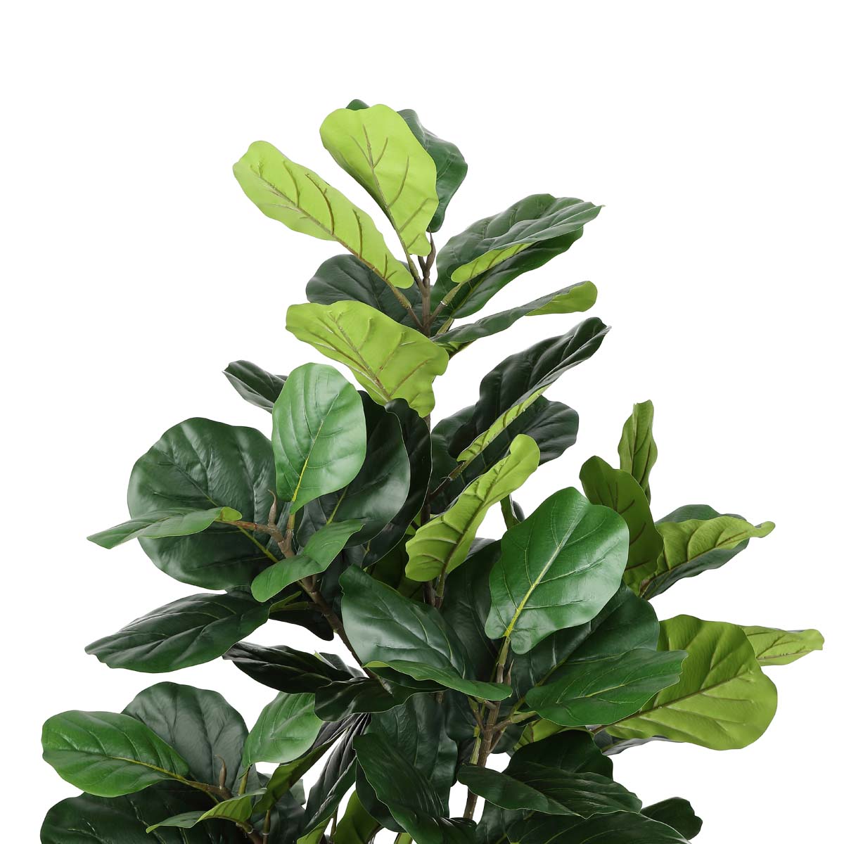Safavieh Faux Fiddle Leaf Fig 50 Potted Tree , FXP2002 - Green