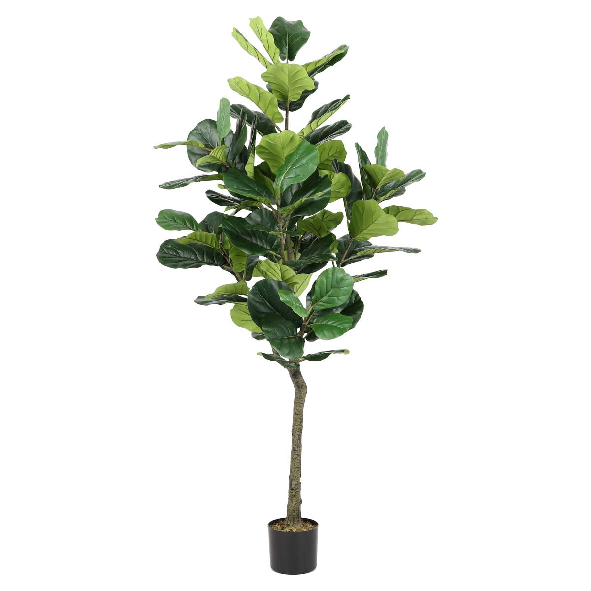 Safavieh Faux Fiddle Leaf Fig 50 Potted Tree , FXP2002 - Green