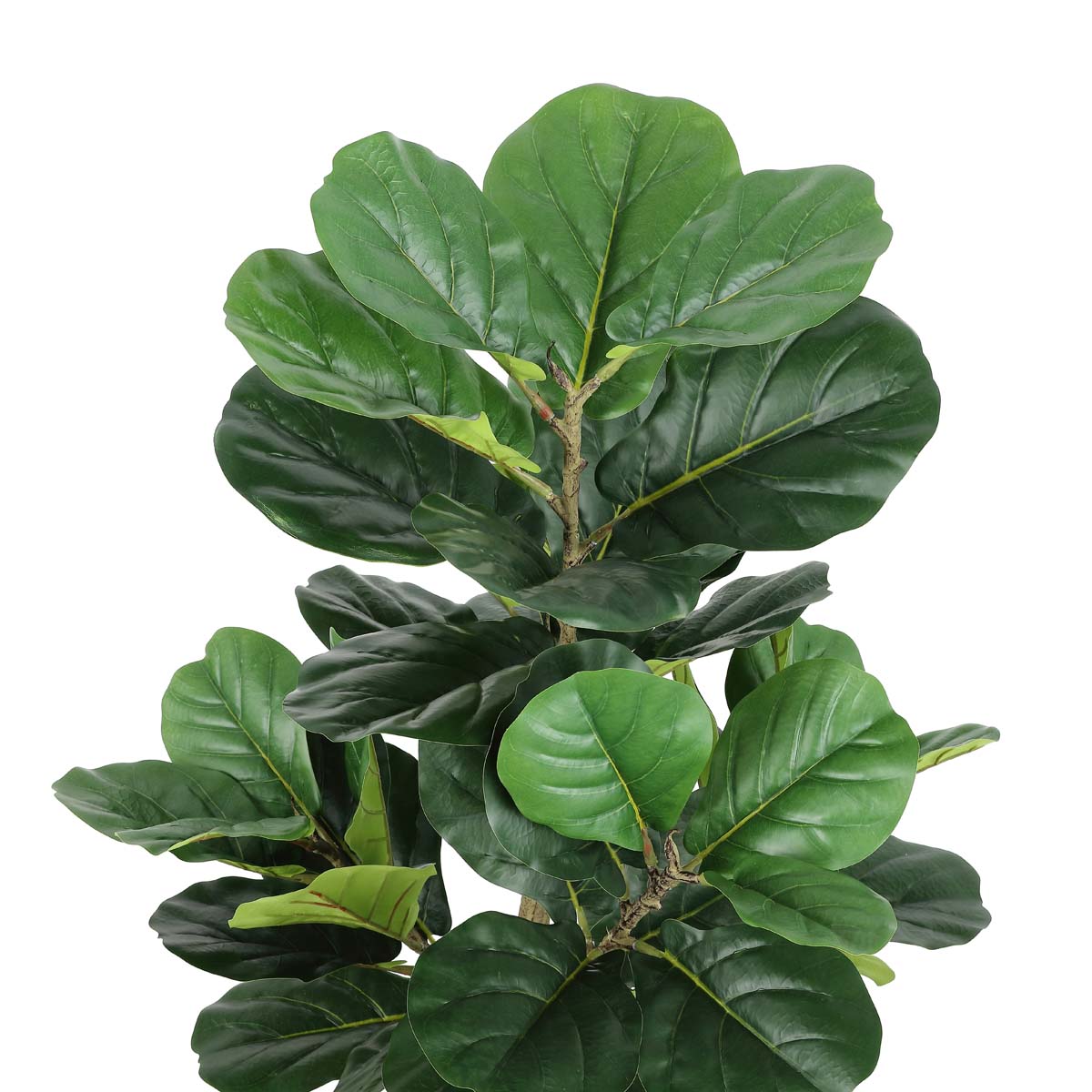 Safavieh Faux Multi Branch Fiddle Leaf Fig 72 Potted Tree , FXP2003 - Green