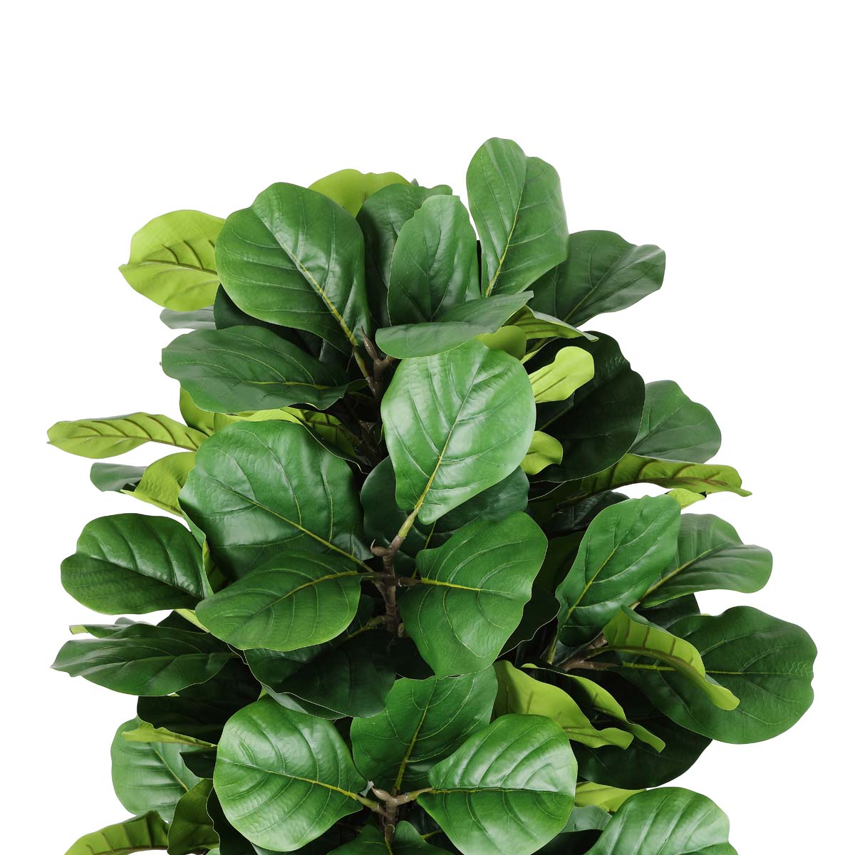 Safavieh Faux Fiddle Leaf Fig 72 Potted Tree , FXP2004 - Green