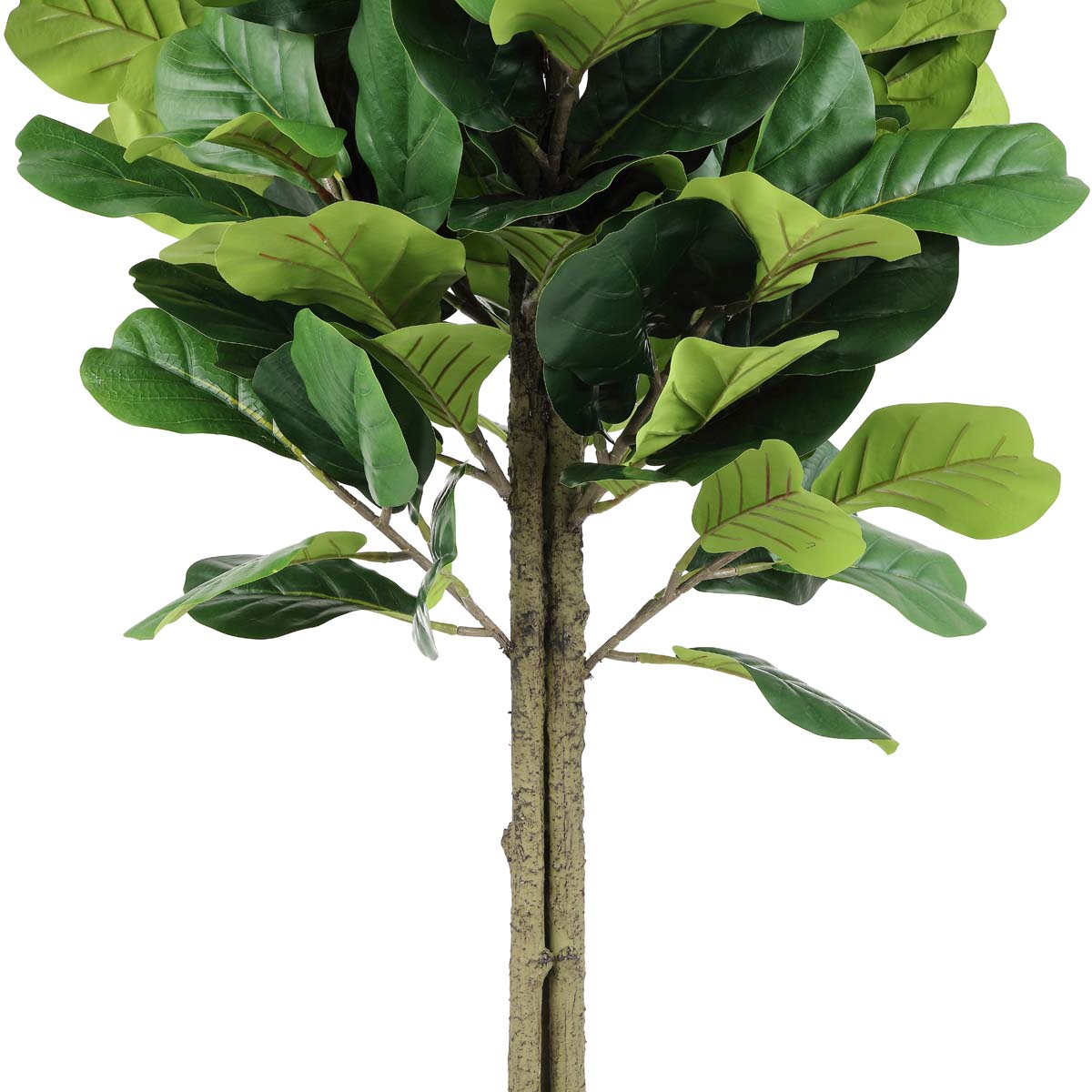 Safavieh Faux Fiddle Leaf Fig 72 Potted Tree , FXP2004 - Green
