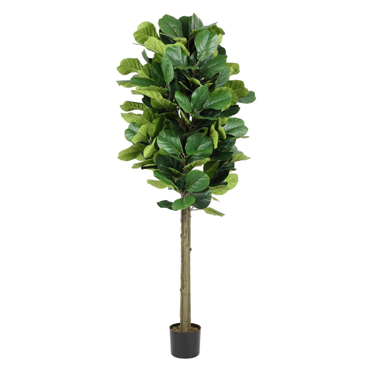 Safavieh Faux Fiddle Leaf Fig 72 Potted Tree , FXP2004 - Green
