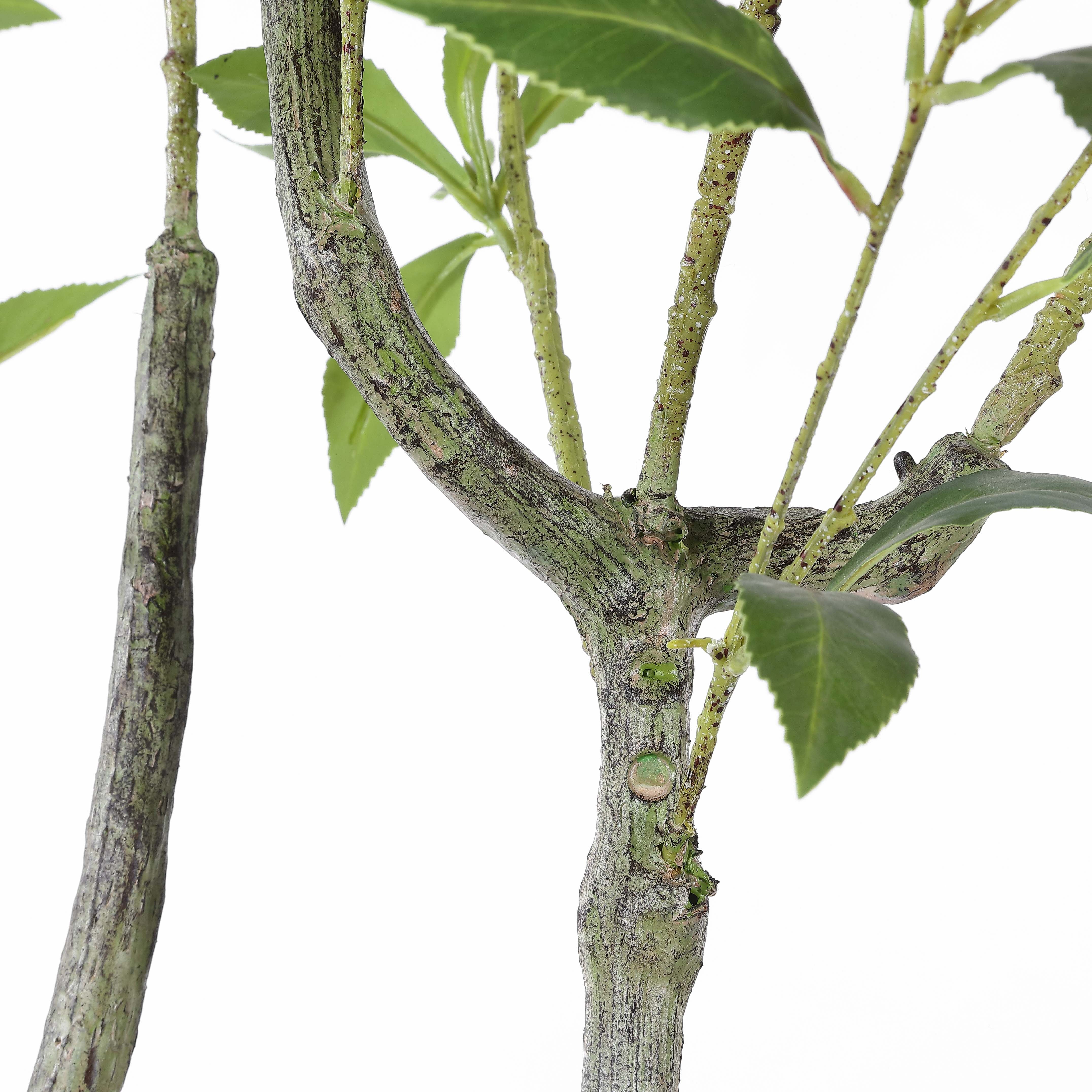 Safavieh Faux 60 Potted Pierisjaponica , FXP2013 - Green