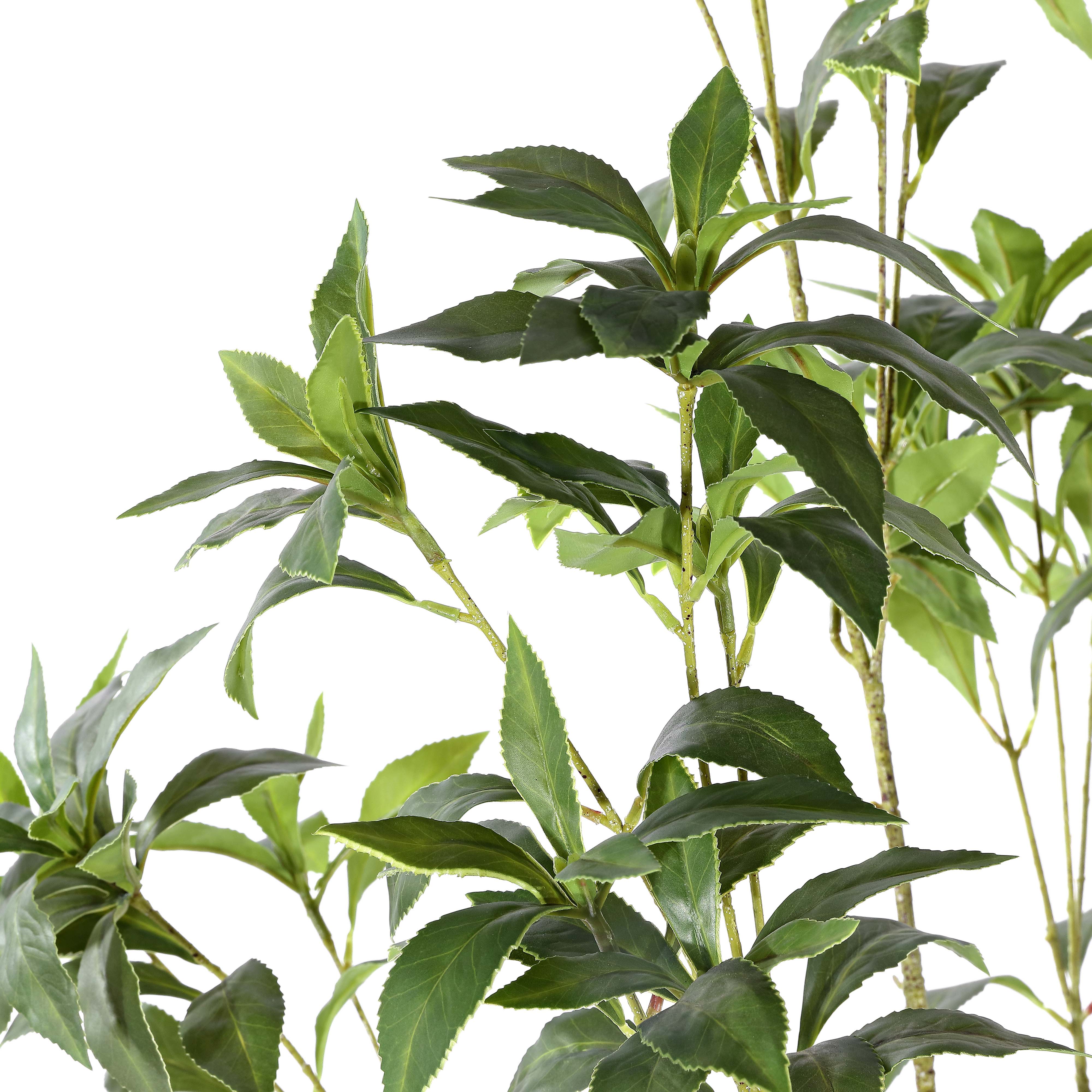 Safavieh Faux 60 Potted Pierisjaponica , FXP2013 - Green