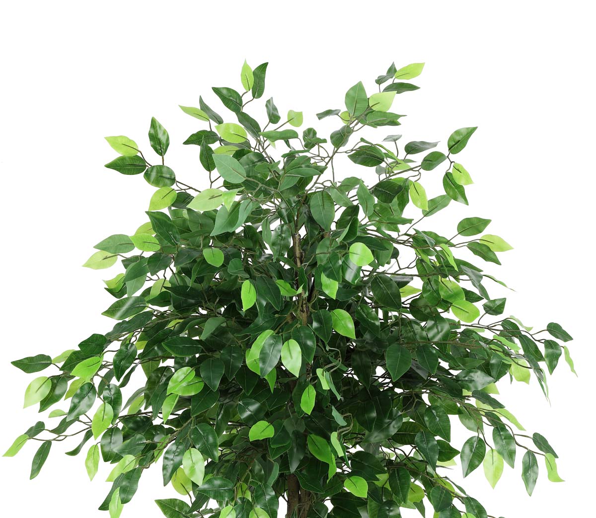 Safavieh Faux Bush Ficus 55 Potted Tree , FXP2014 - Green