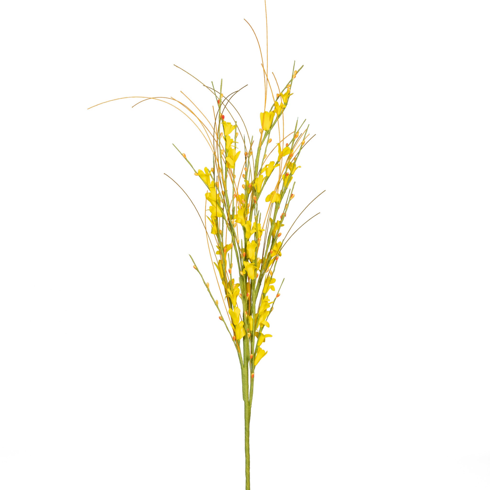 Box of 12 GOLDEN FORSYTHIA SPRAY