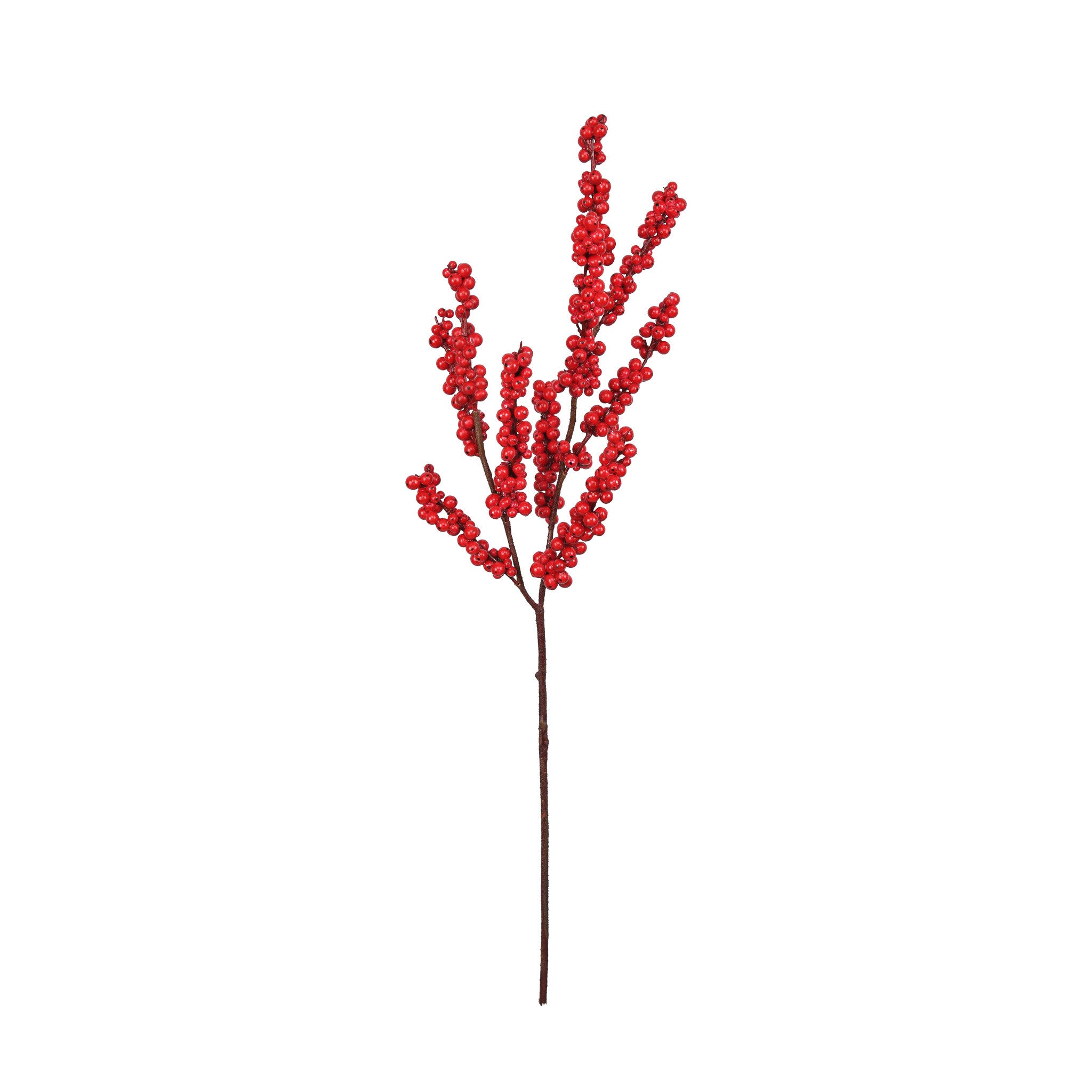 ILEX BERRY BRANCH - RED - 33 INCH (Box of 12 Stems)