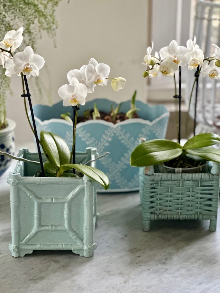 Pale Blue Bamboo Box Planter