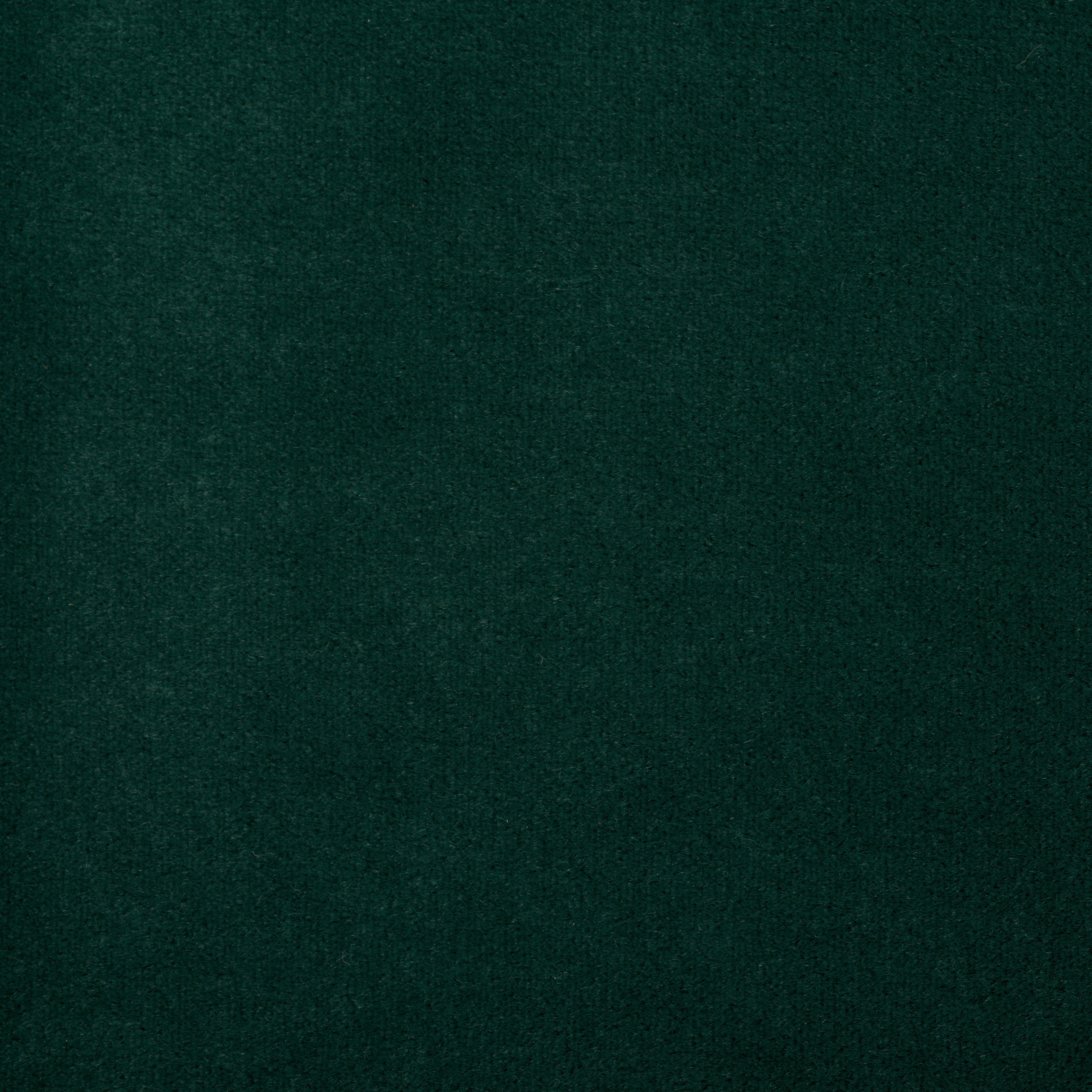 Dark Green - Dark Green