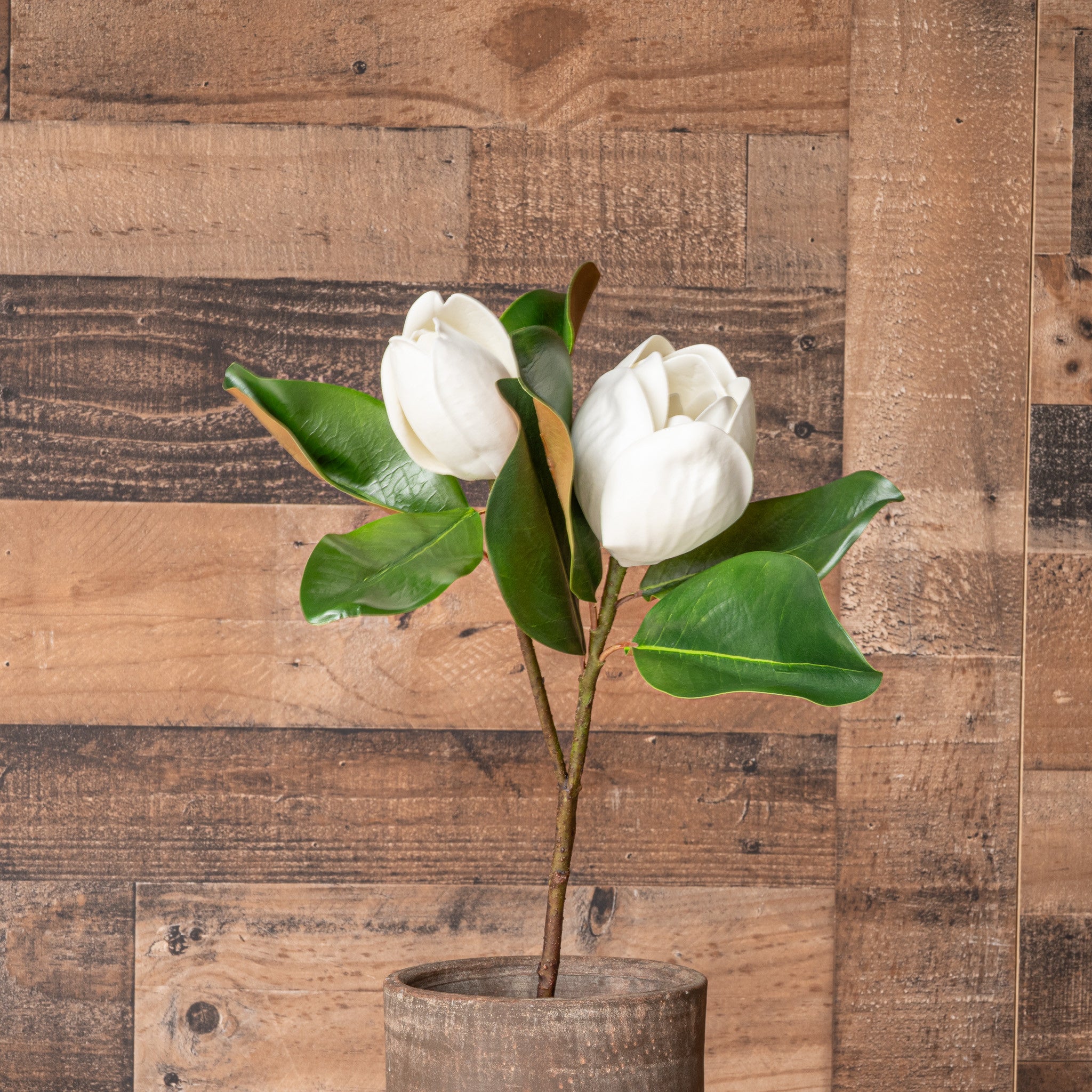 MAGNOLIA FLOWER AND BLOOM STEM - 27 INCH (Box of 12 Stems)