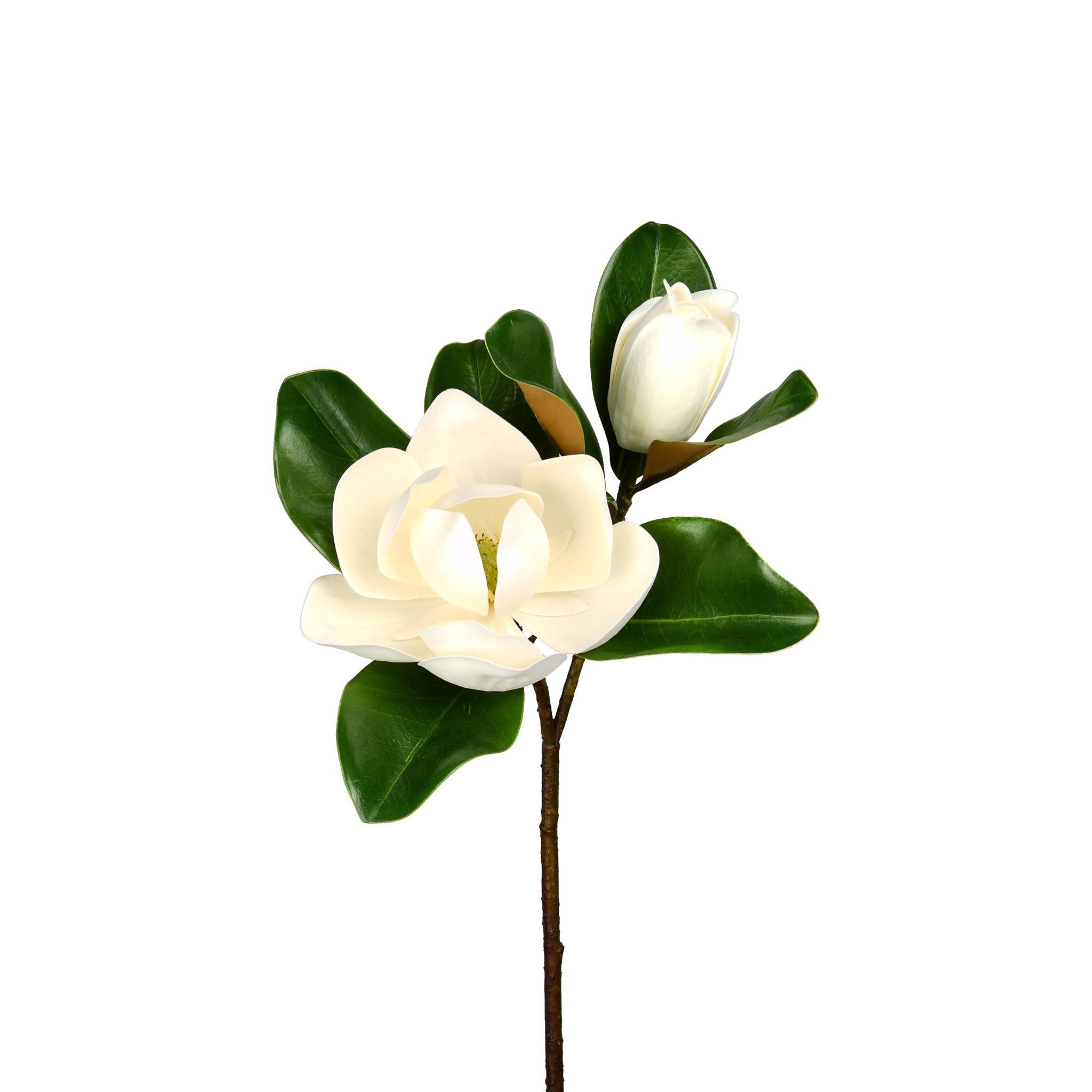 MAGNOLIA FLOWER AND BLOOM STEM - 27 INCH (Box of 12 Stems)