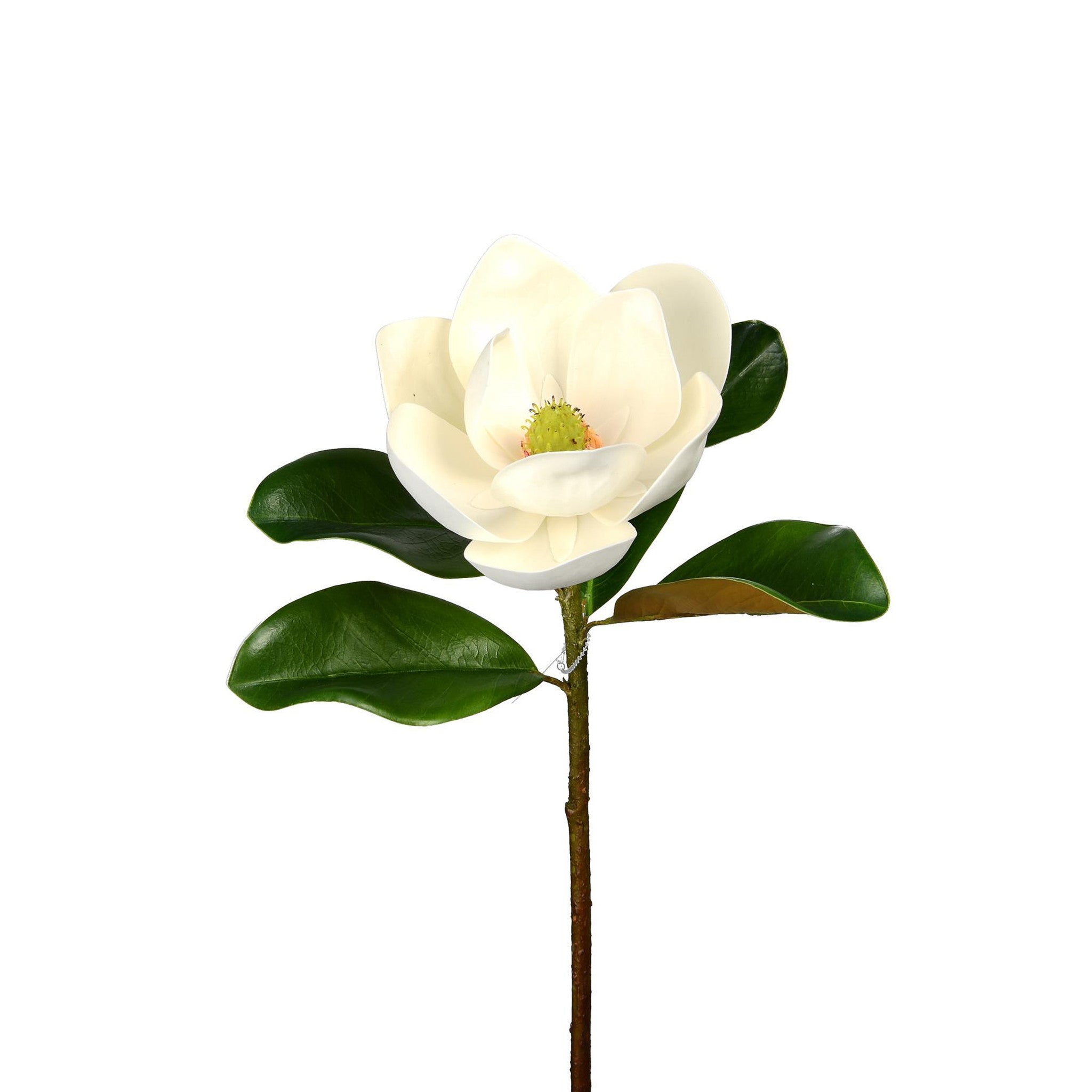 MAGNOLIA FLOWER STEM - 23 INCH (Box of 12 Stems)