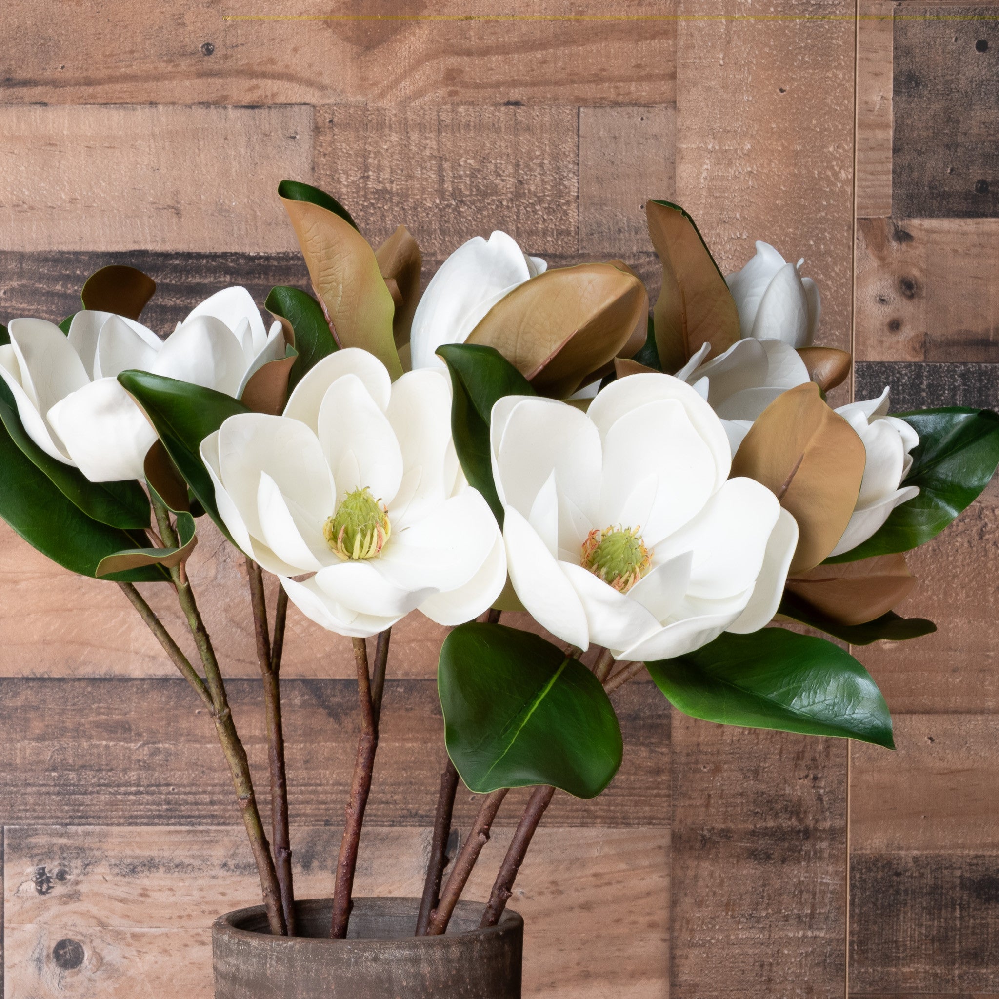 MAGNOLIA FLOWER STEM - 23 INCH (Box of 12 Stems)