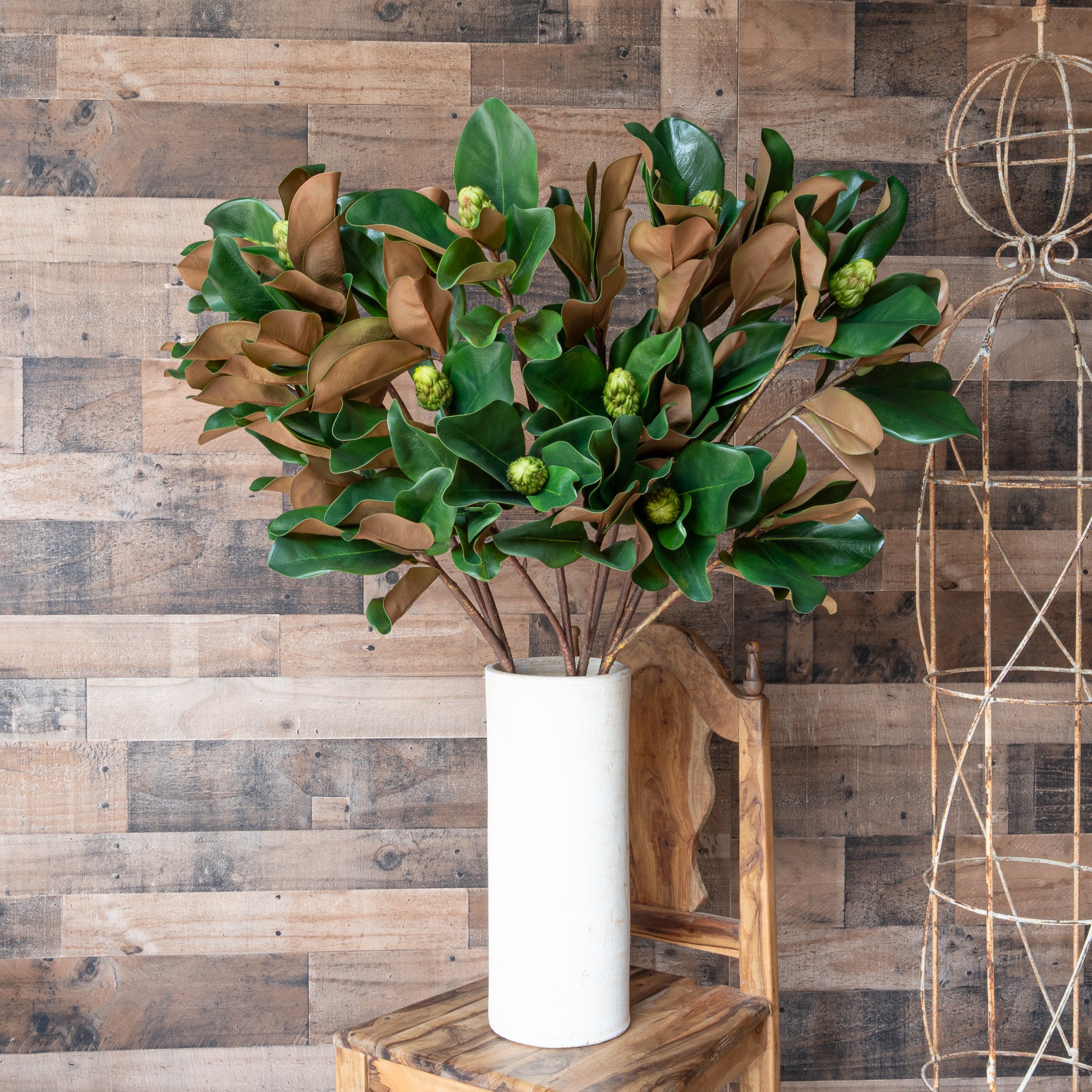 MAGNOLIA LEAF BRANCH - 44 INCH (Box of 6 Stems)