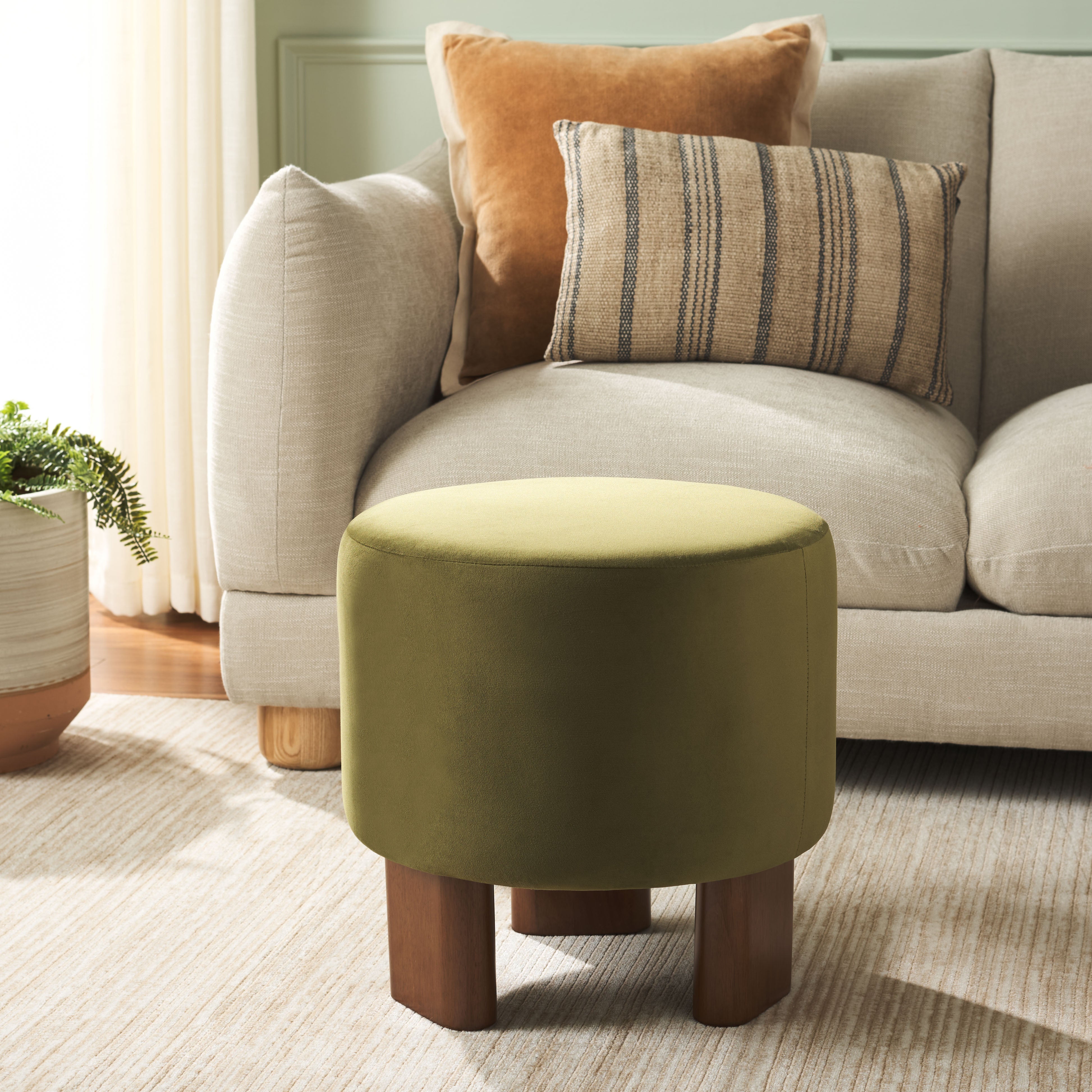 Olive / Brown