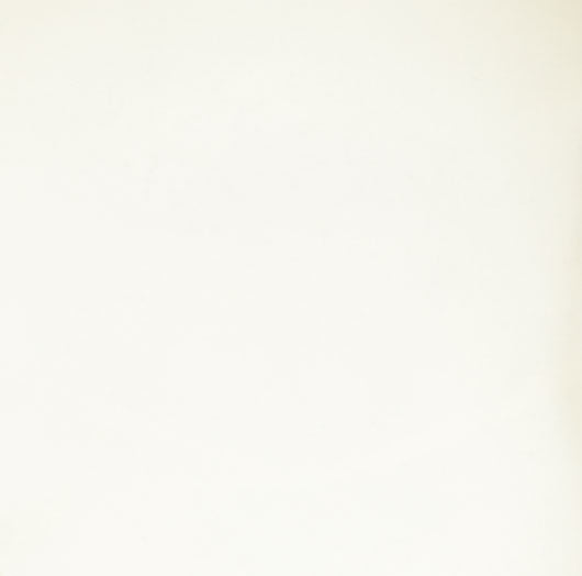 Natural / Beige - Natural / Beige