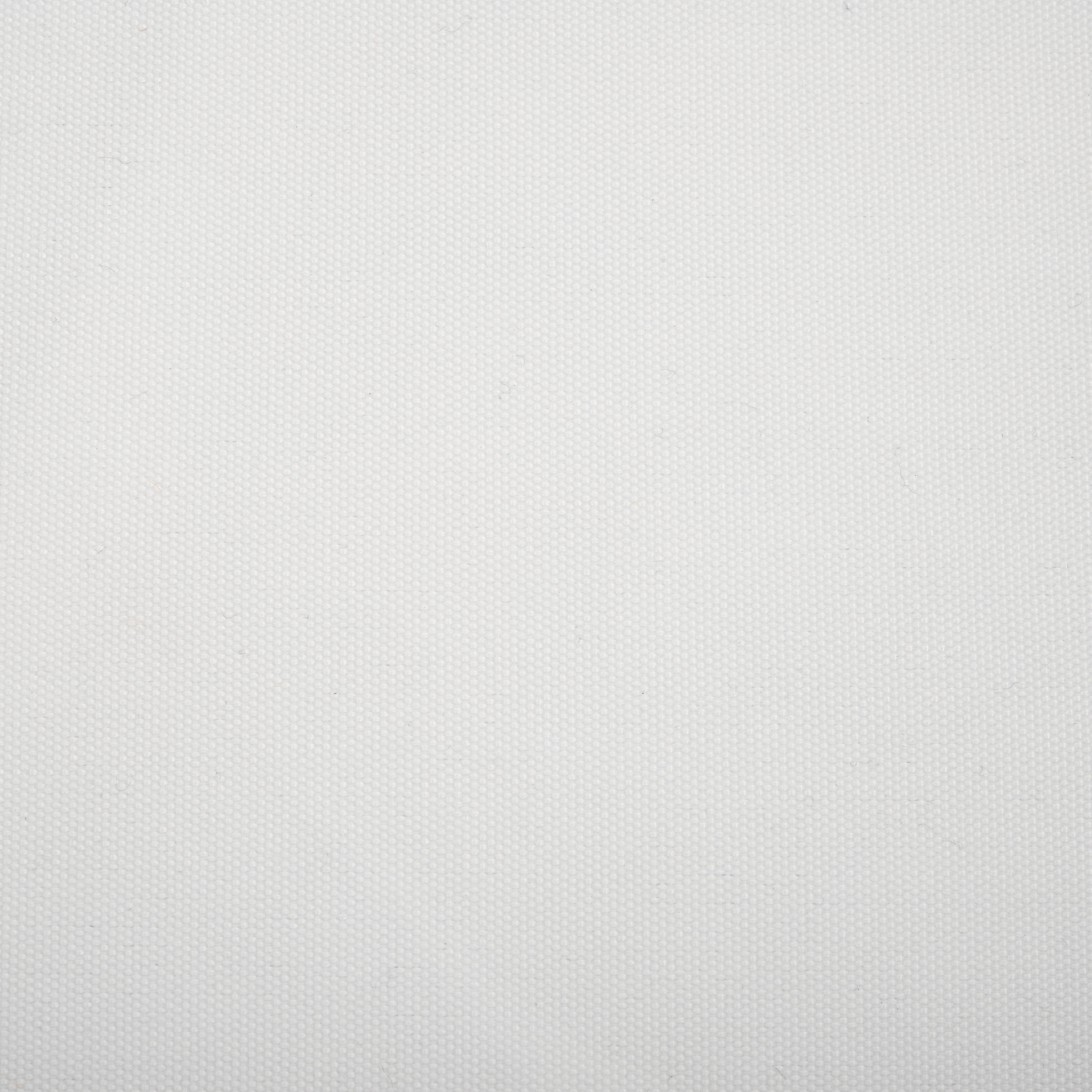 White / Beige - White / Beige