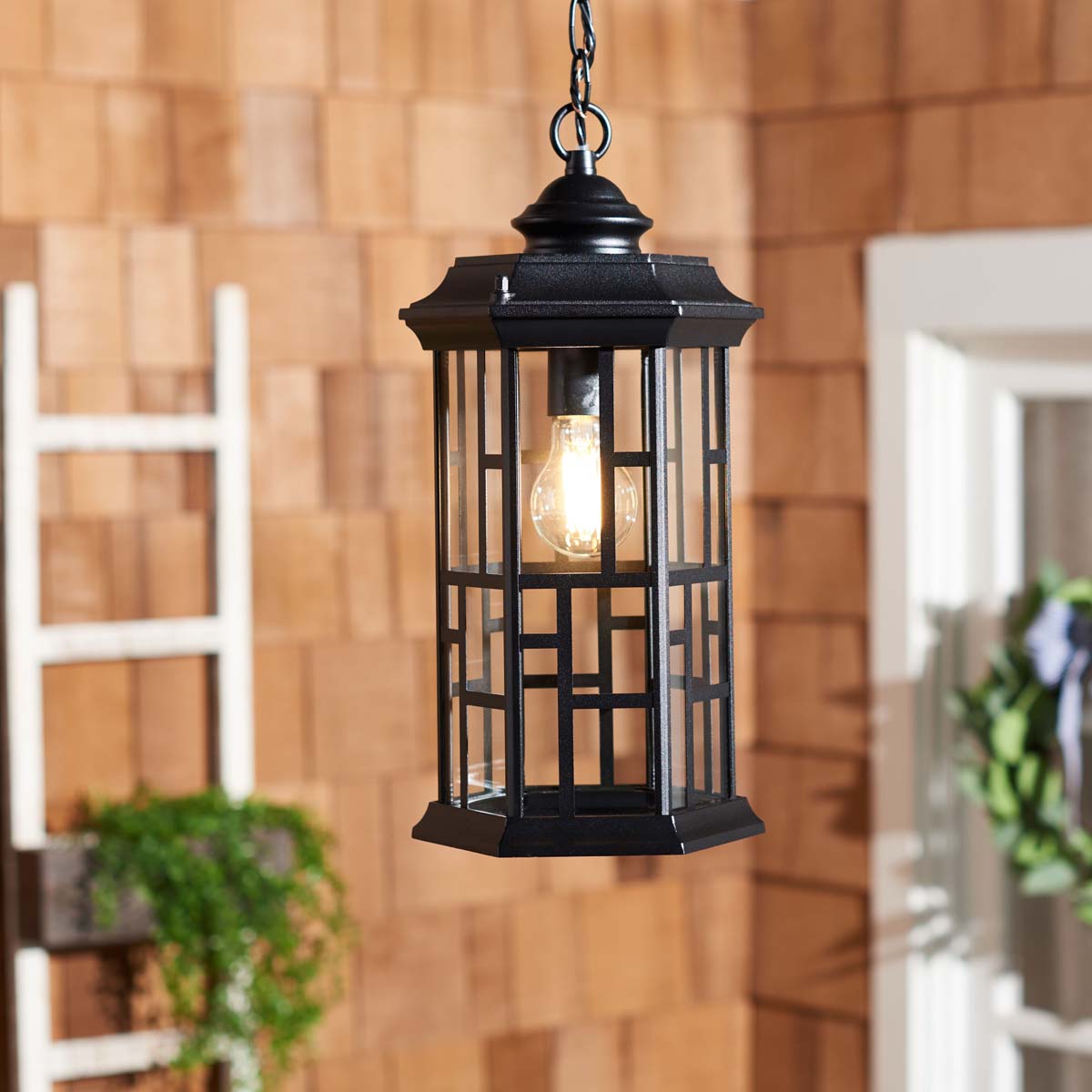 Safavieh Carwen Outdoor Pendant , PLT7009 - Black